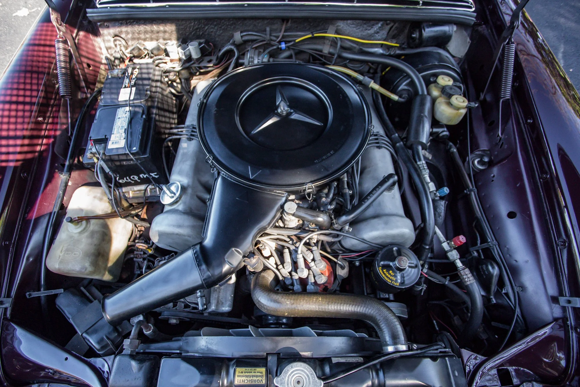 Merc (159).jpg (Copy)