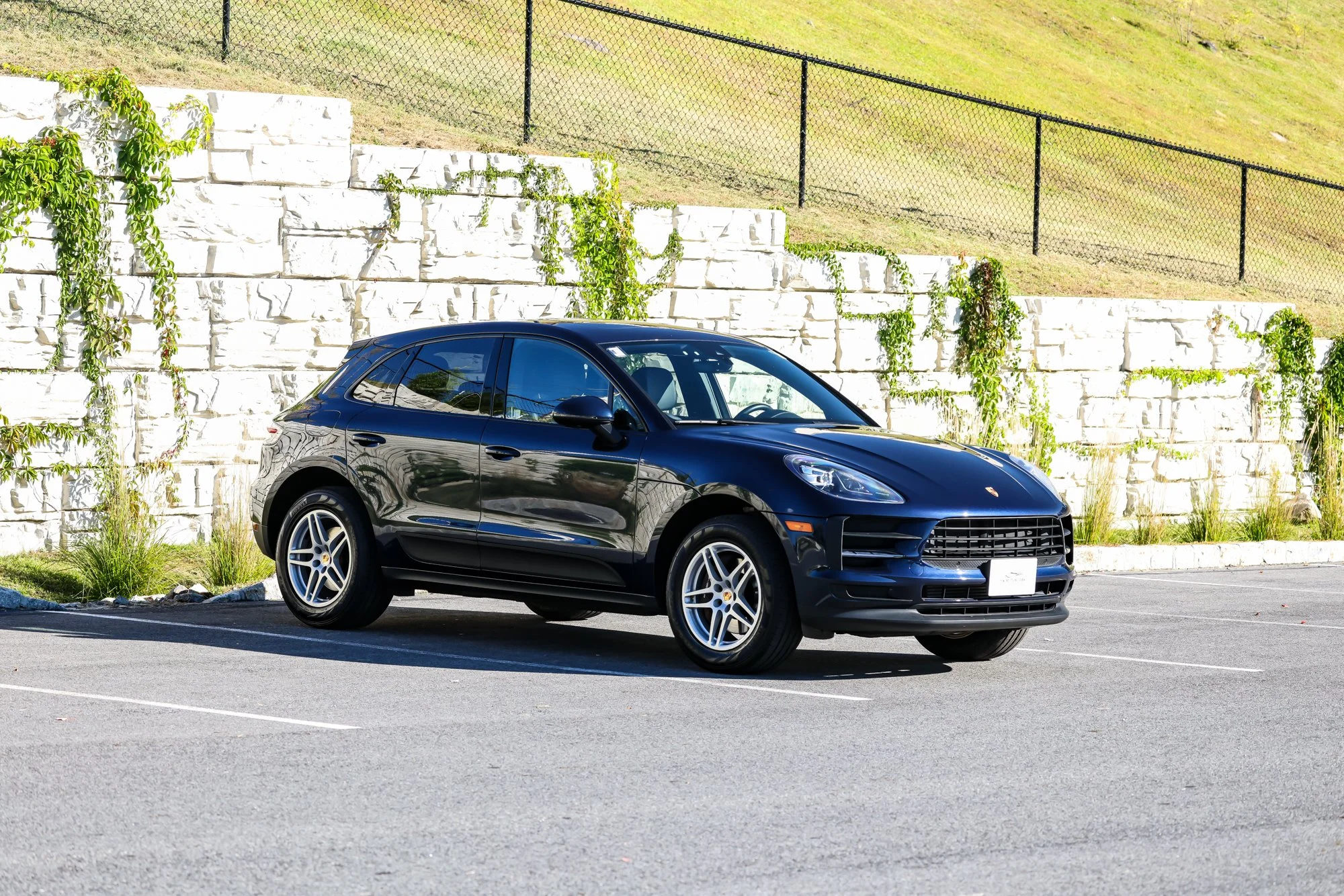 Macan (4).jpg (Copy) (Copy)