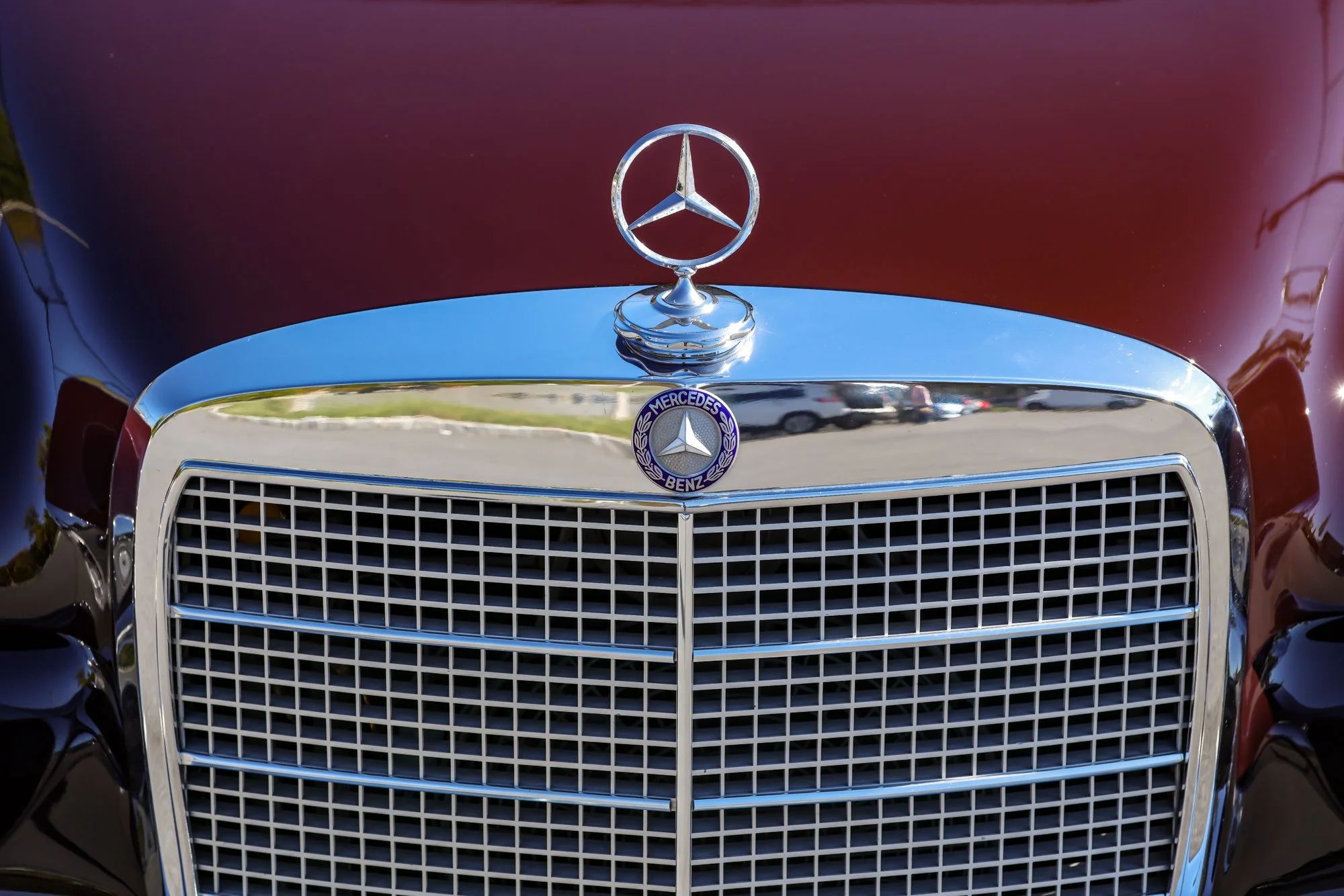 Merc (38).jpg (Copy)