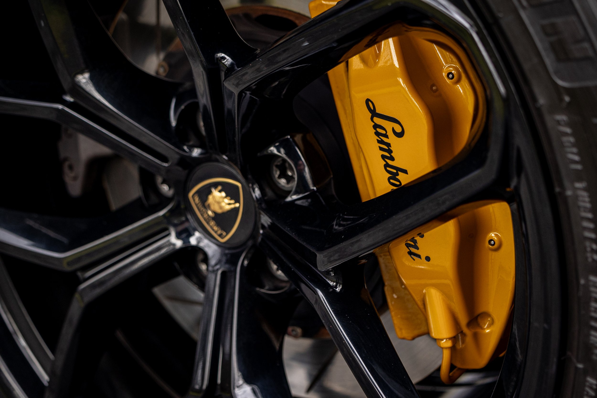 Gallardo - SST-23-xxx-075.jpg