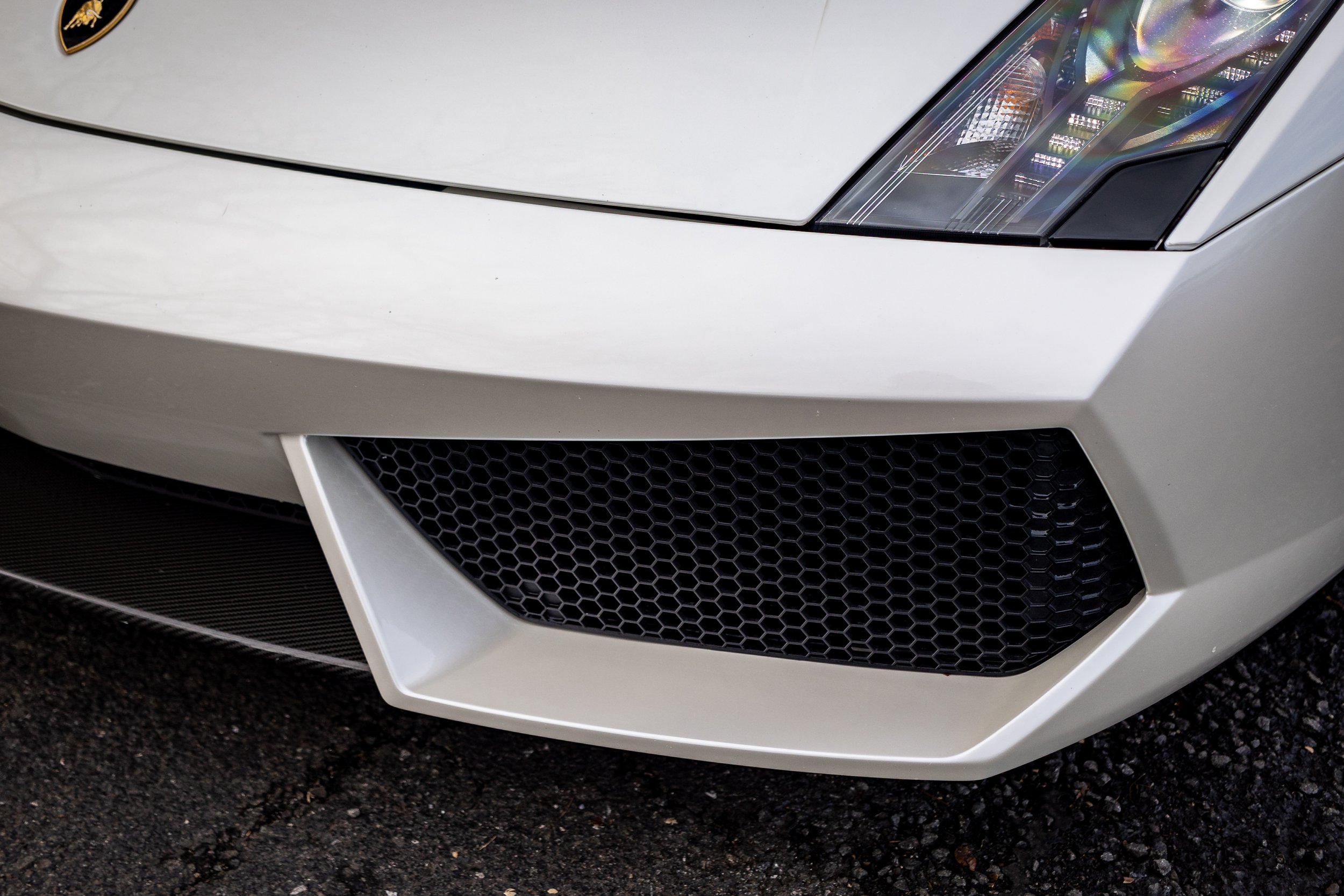 Gallardo - SST-23-xxx-084.jpg
