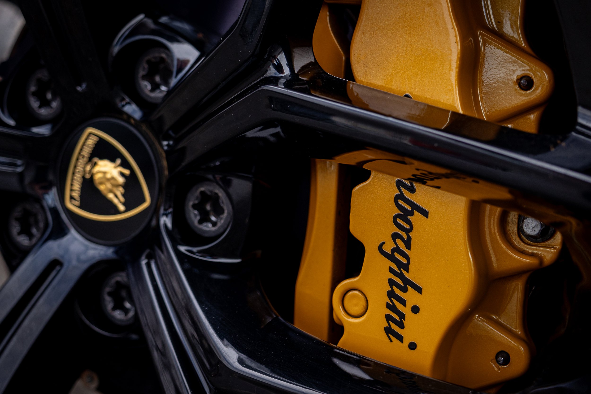Gallardo - SST-23-xxx-065.jpg