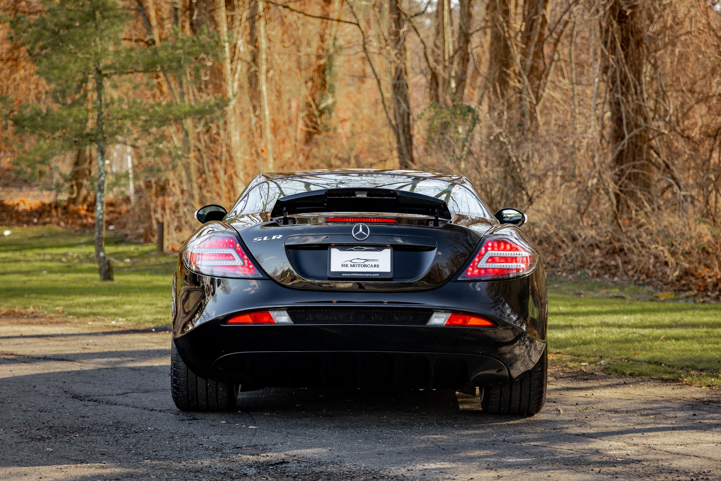 SLR-016.jpg