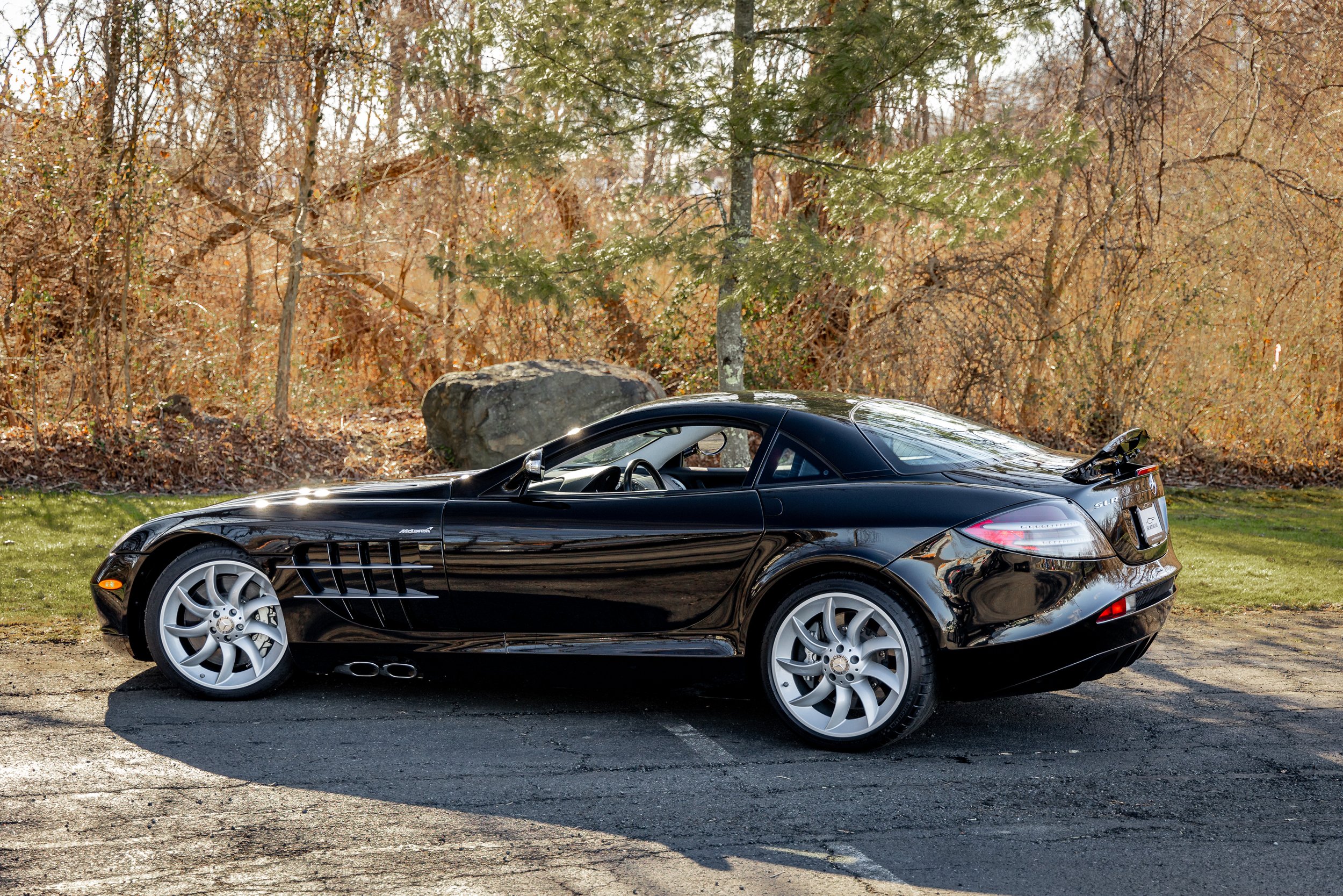 SLR-011.jpg