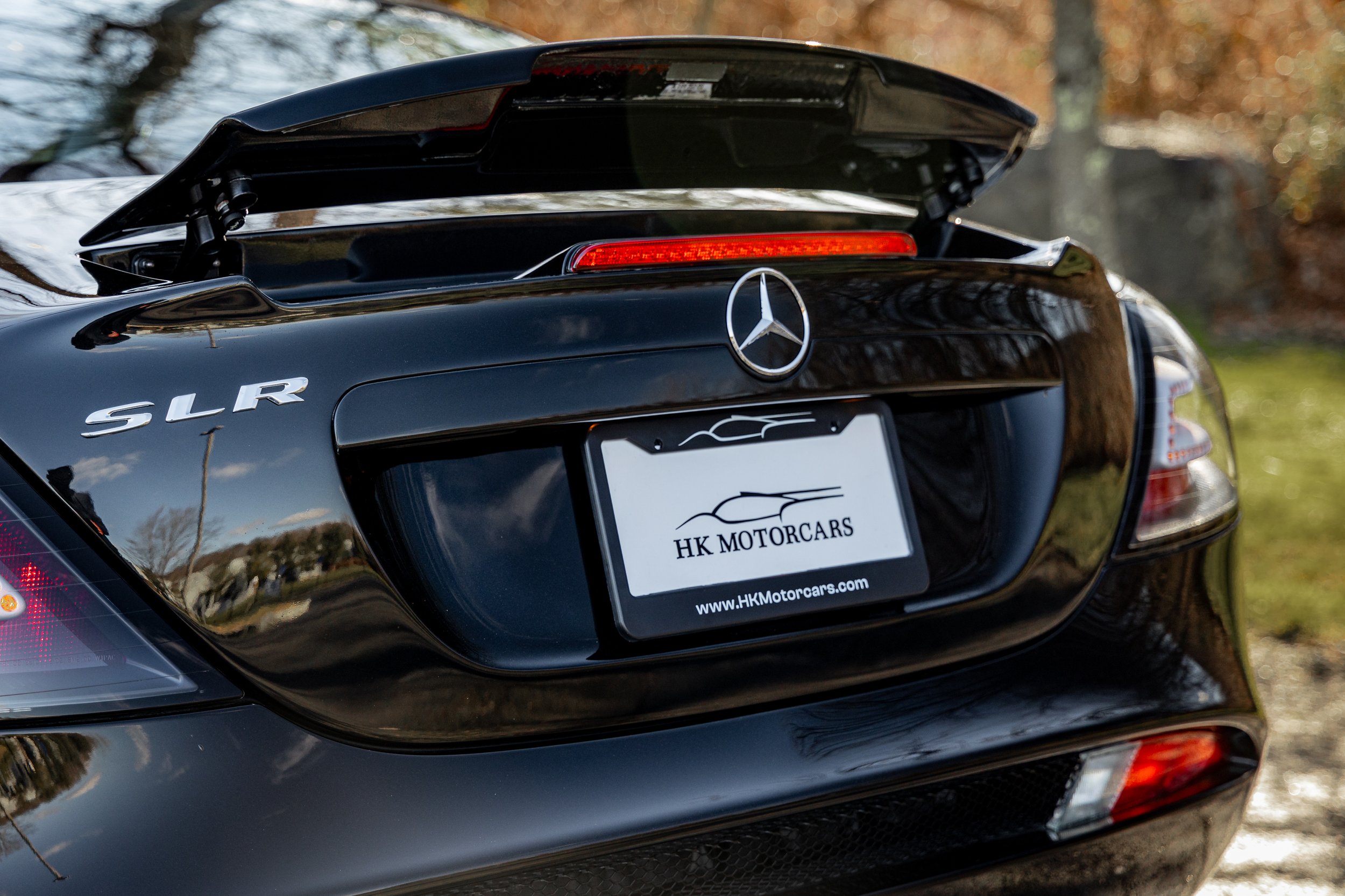 SLR-139.jpg