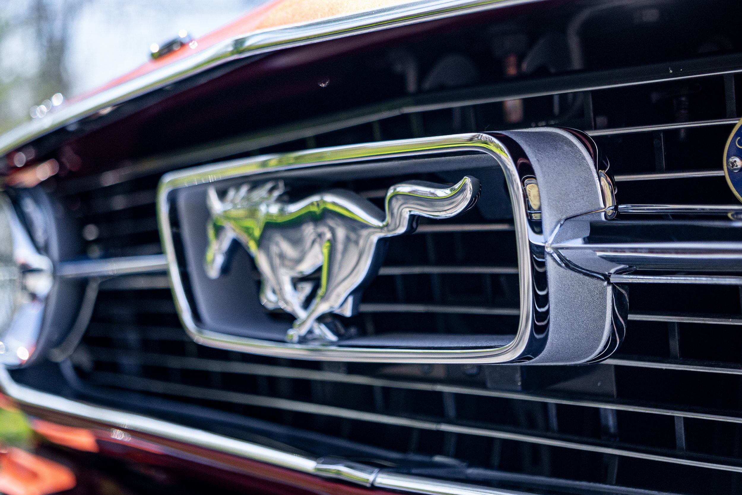 SST-24-19 - Mustang-061.jpg