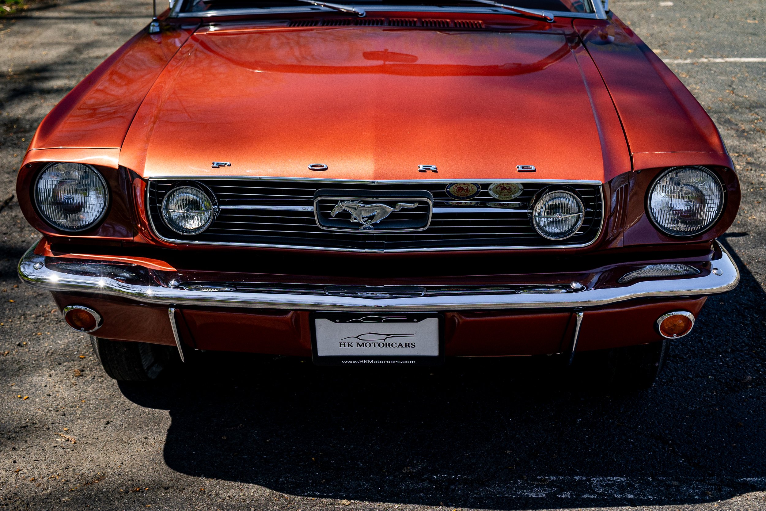 SST-24-19 - Mustang-056.jpg