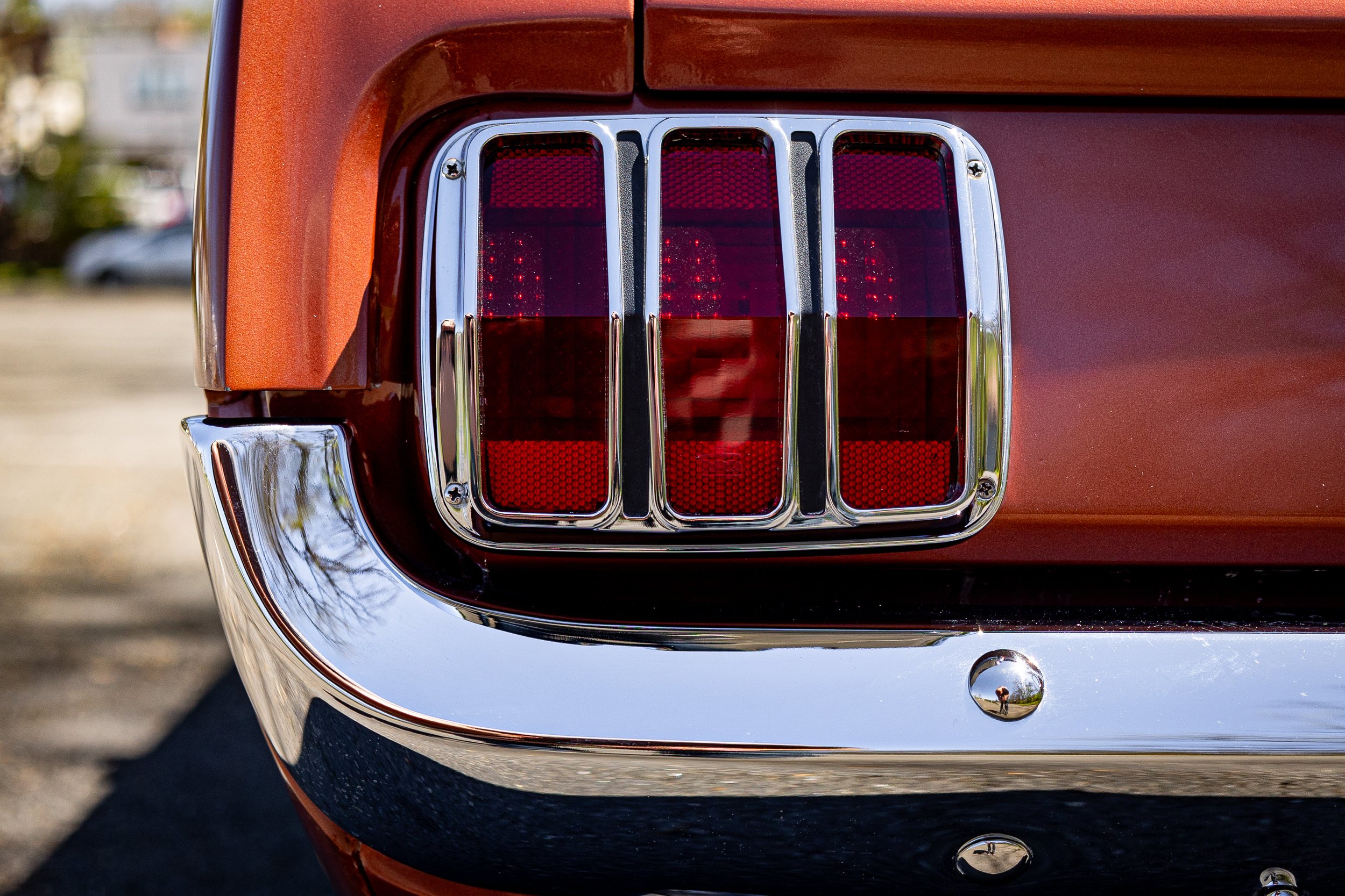 SST-24-19 - Mustang-077.jpg