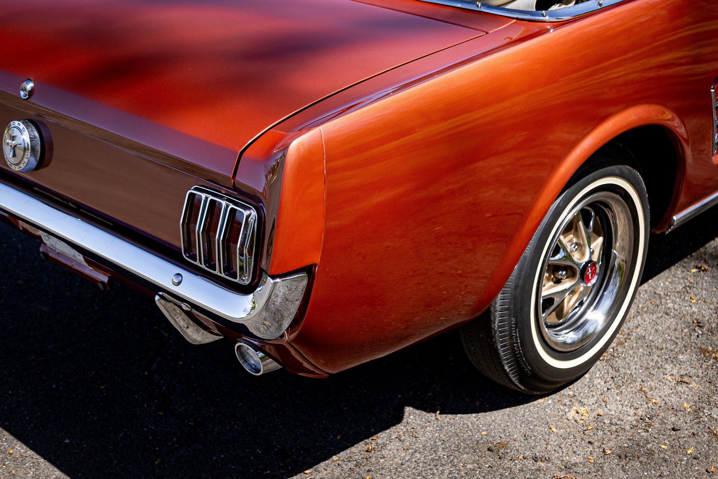 SST-24-19 - Mustang-082.jpg