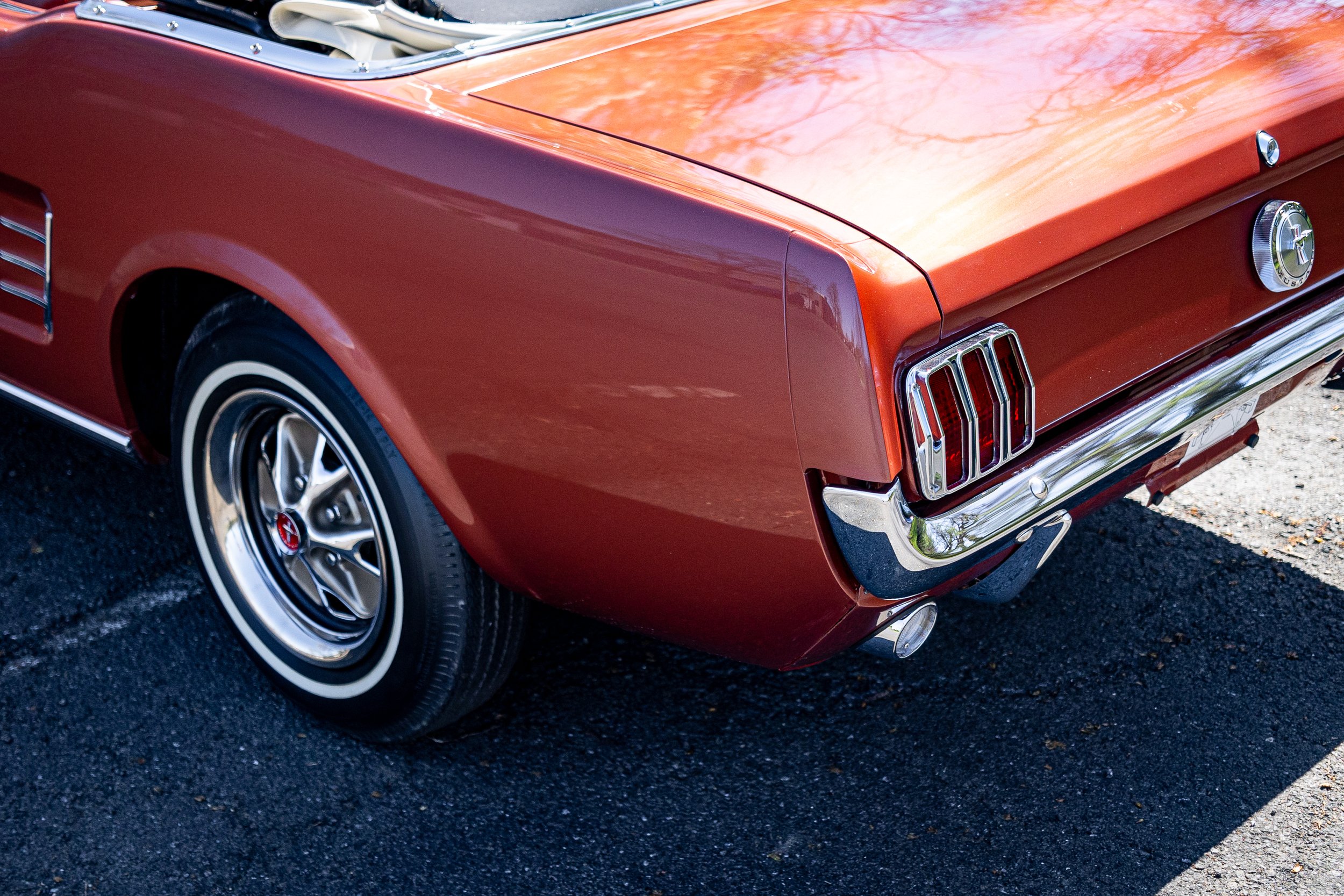 SST-24-19 - Mustang-076.jpg