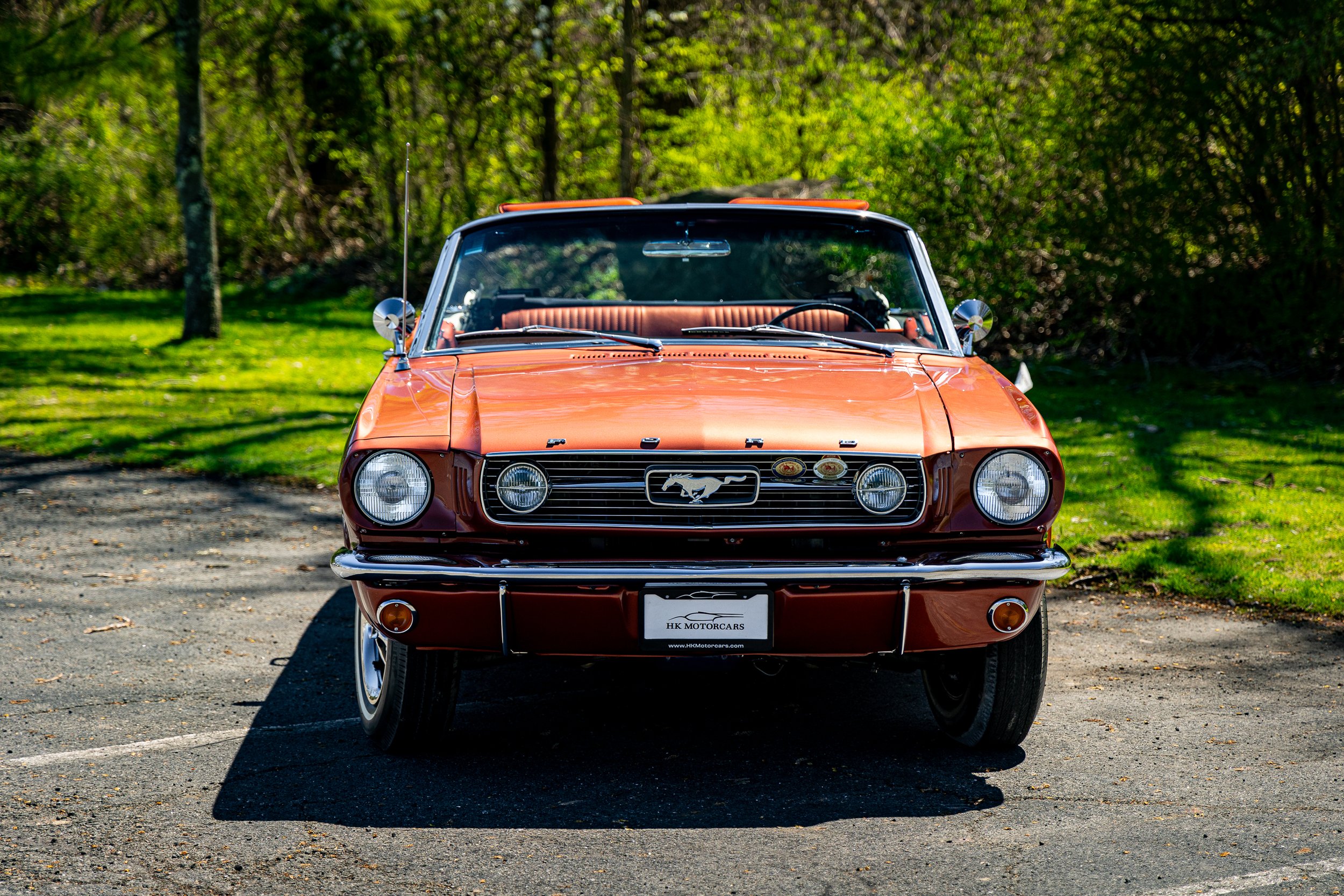 SST-24-19 - Mustang-05.jpg