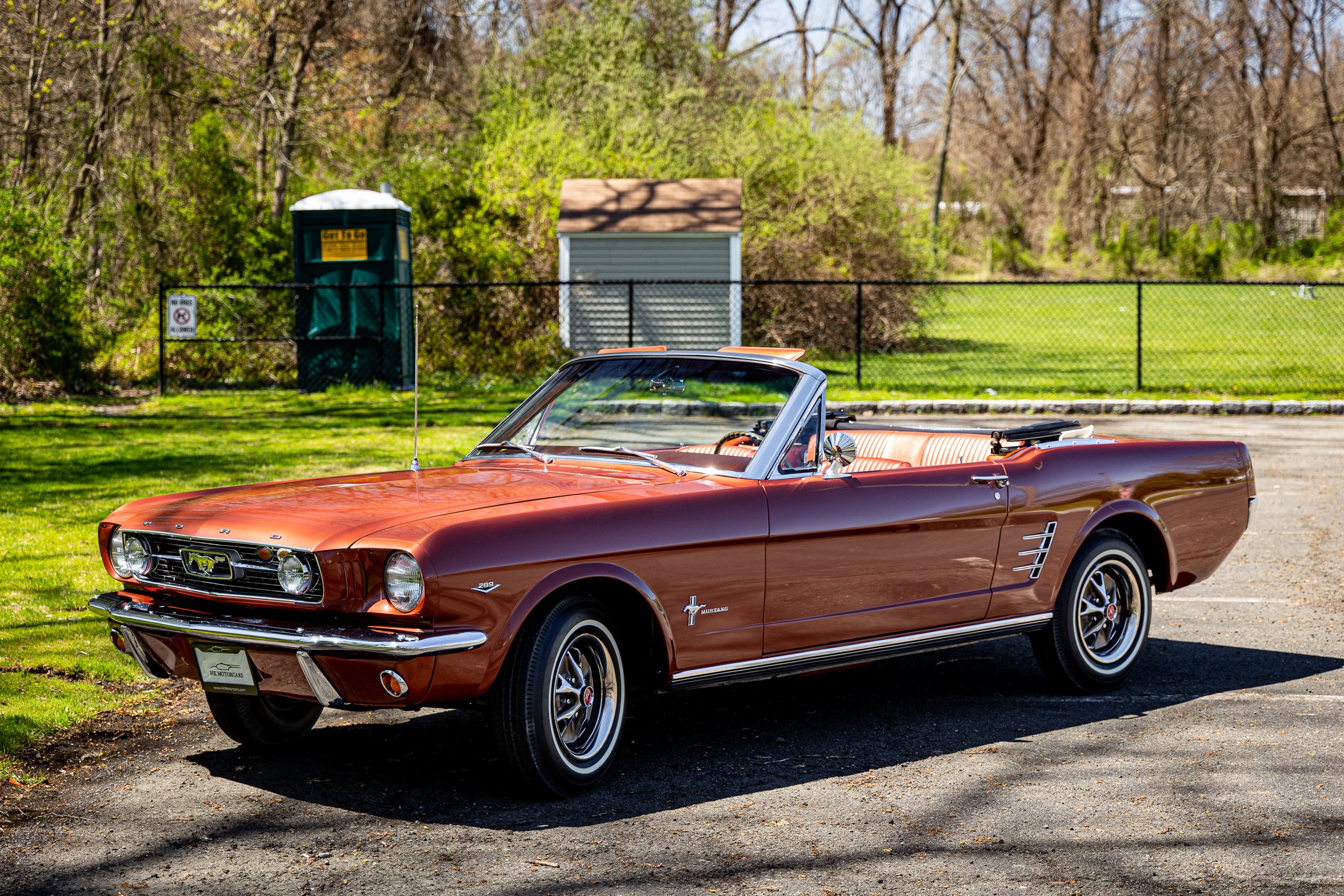 SST-24-19 - Mustang-11.jpg