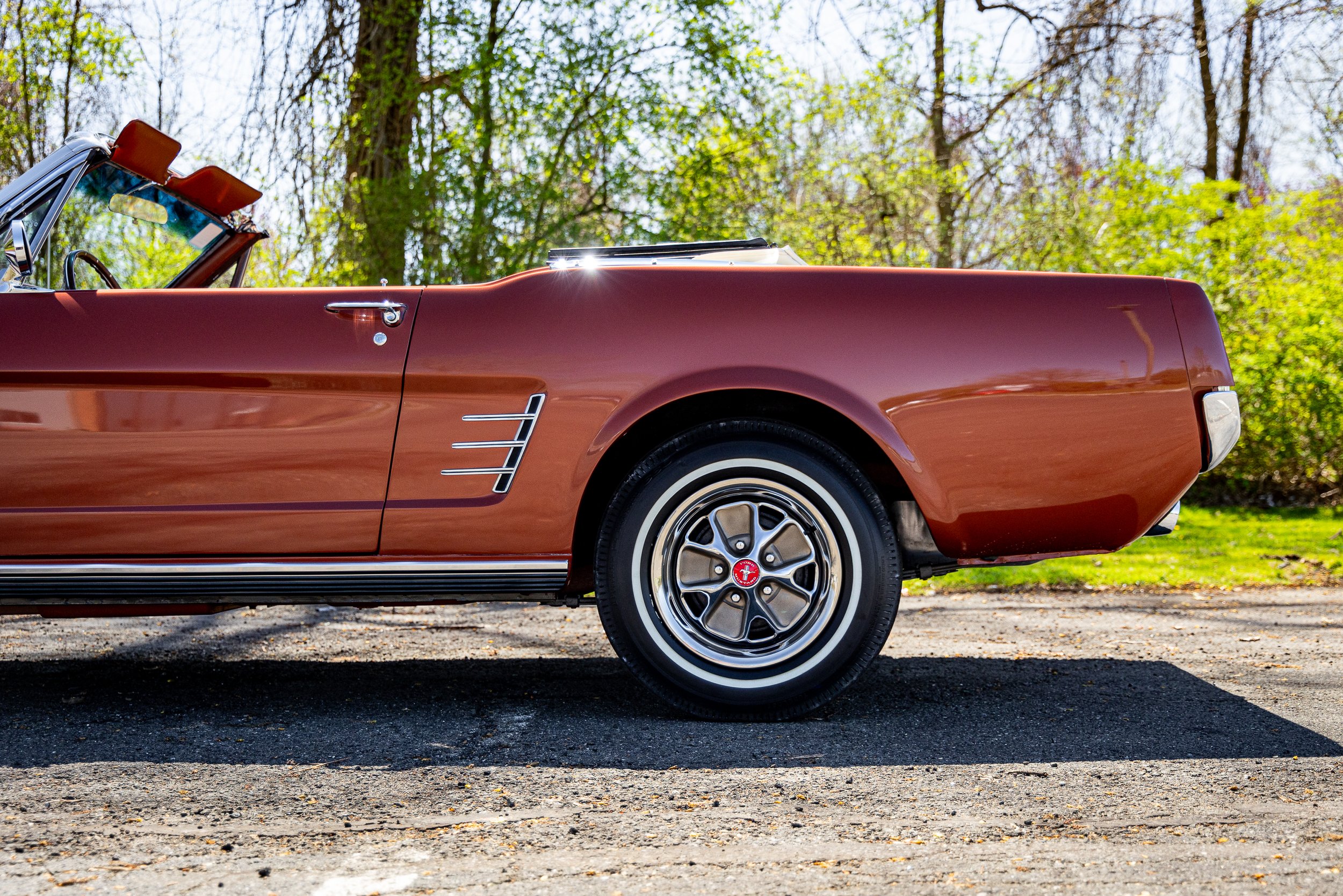 SST-24-19 - Mustang-040.jpg