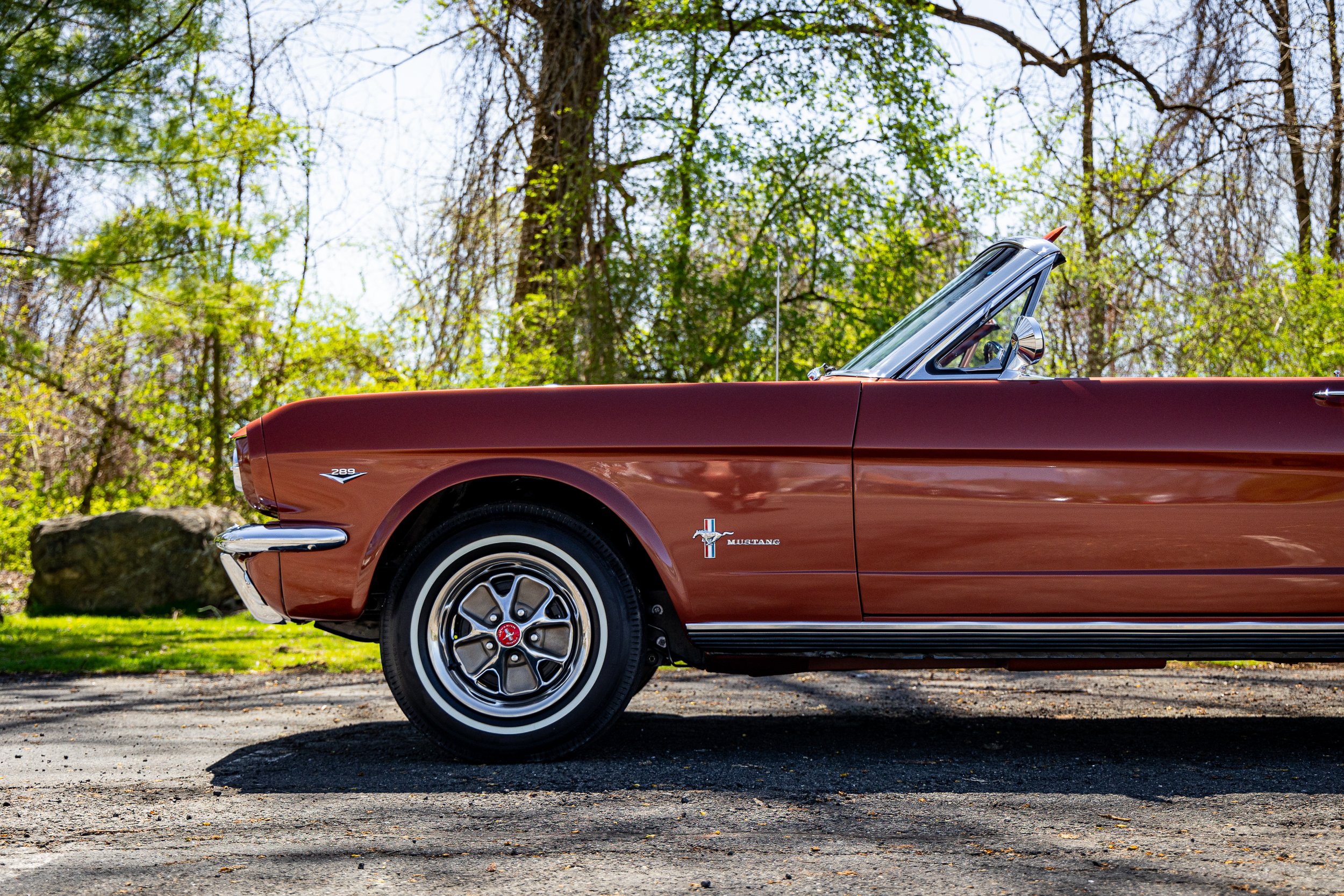 SST-24-19 - Mustang-039.jpg