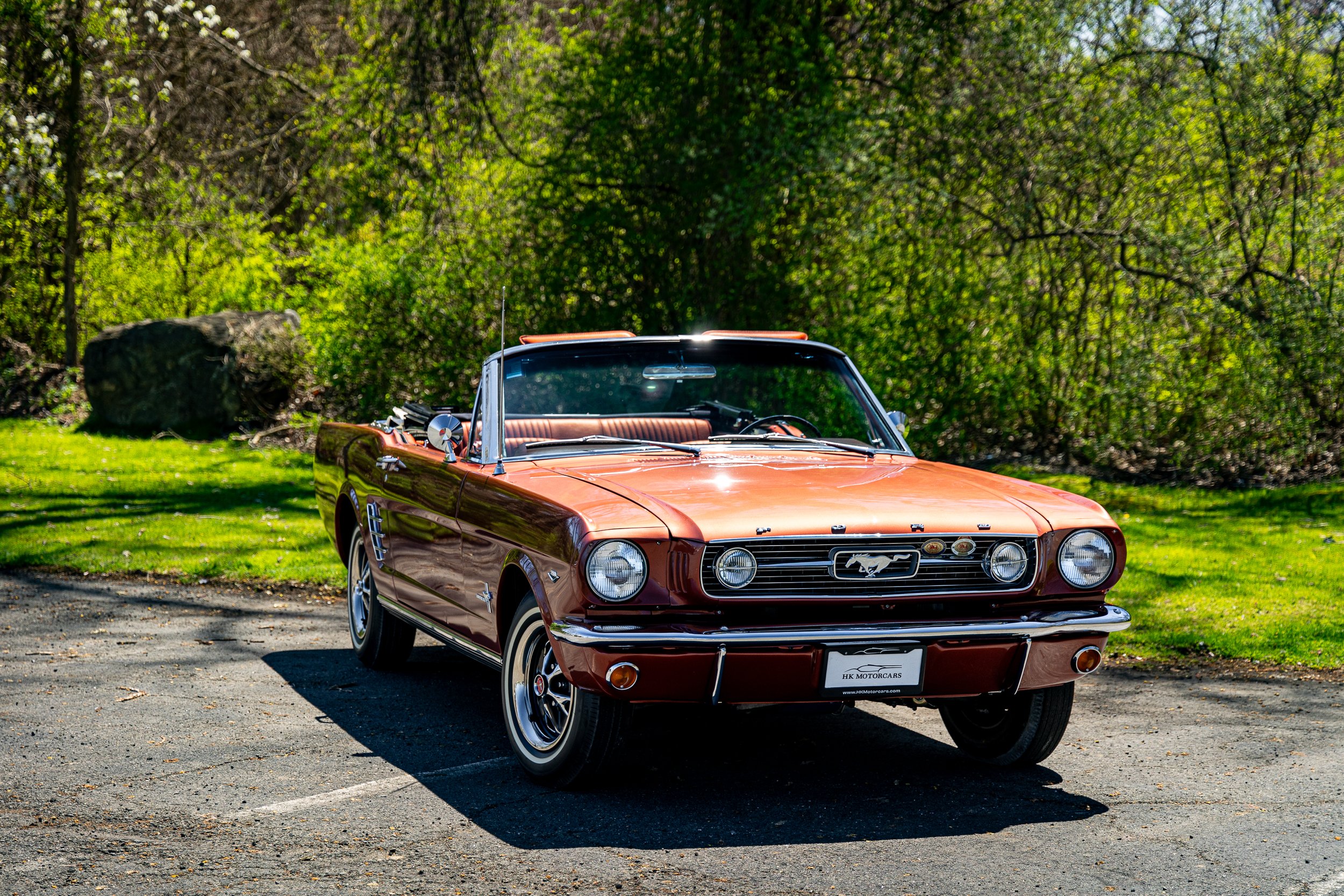 SST-24-19 - Mustang-03.jpg