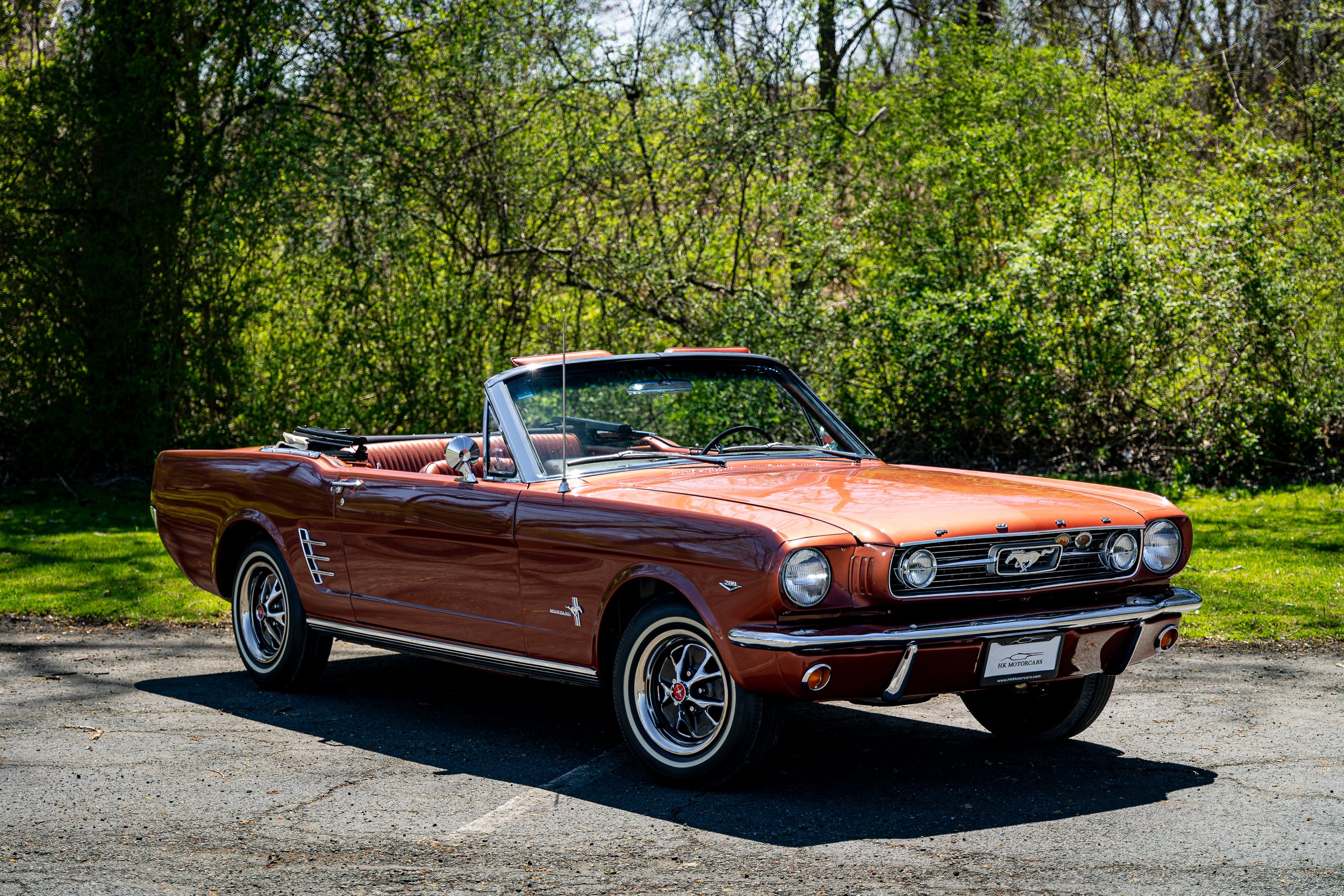 SST-24-19 - Mustang-01.jpg