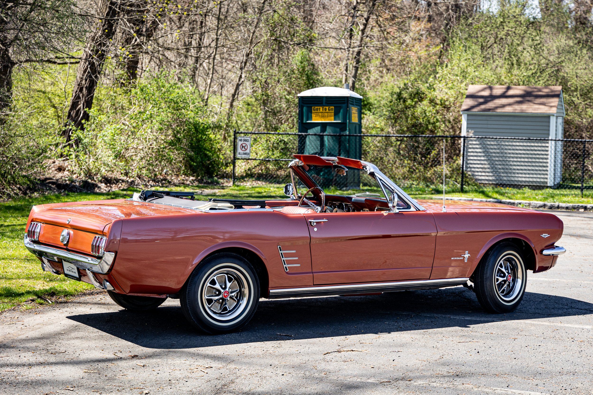 SST-24-19 - Mustang-29.jpg