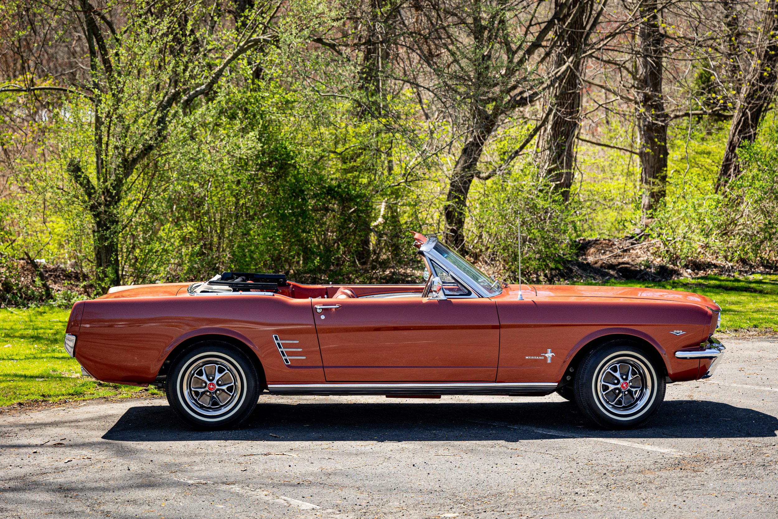 SST-24-19 - Mustang-31.jpg