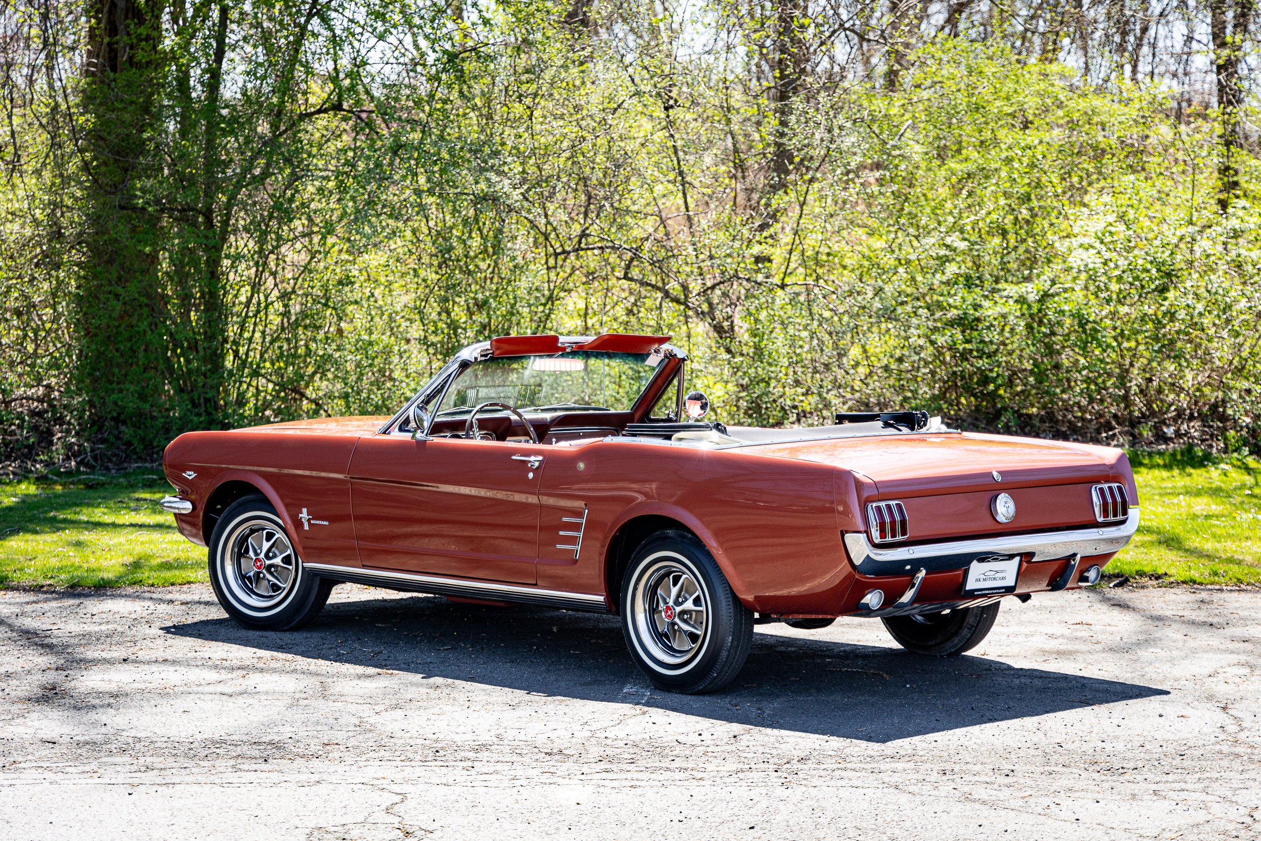 SST-24-19 - Mustang-19.jpg