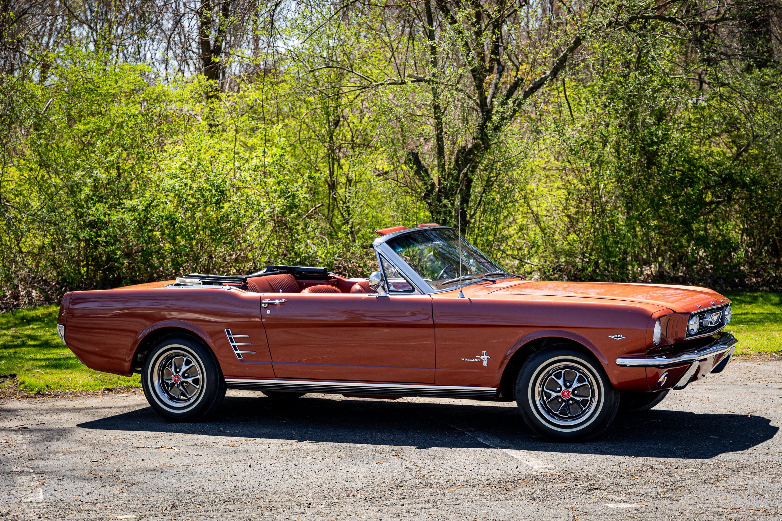SST-24-19 - Mustang-33.jpg