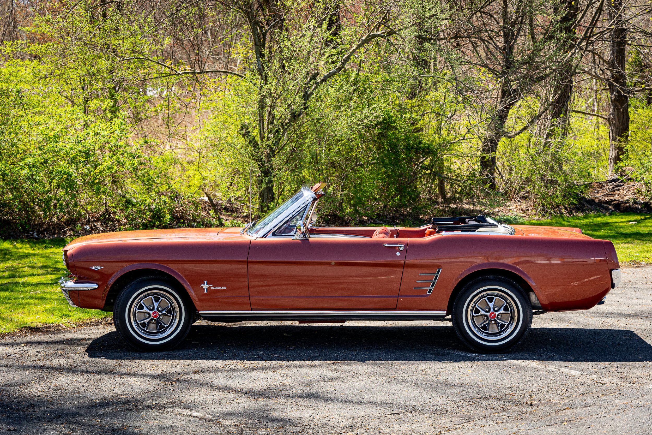 SST-24-19 - Mustang-15.jpg