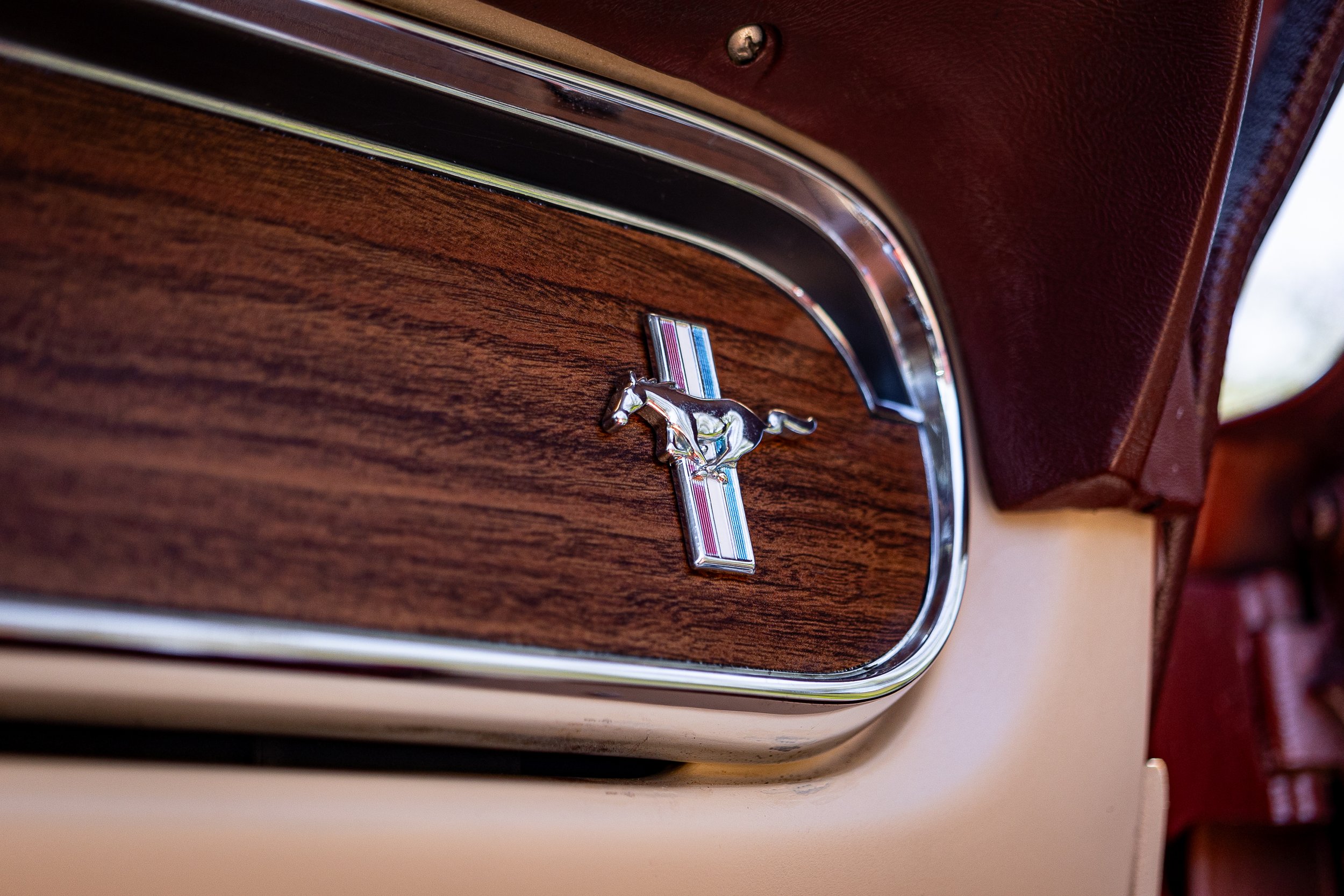 SST-24-19 - Mustang-153.jpg