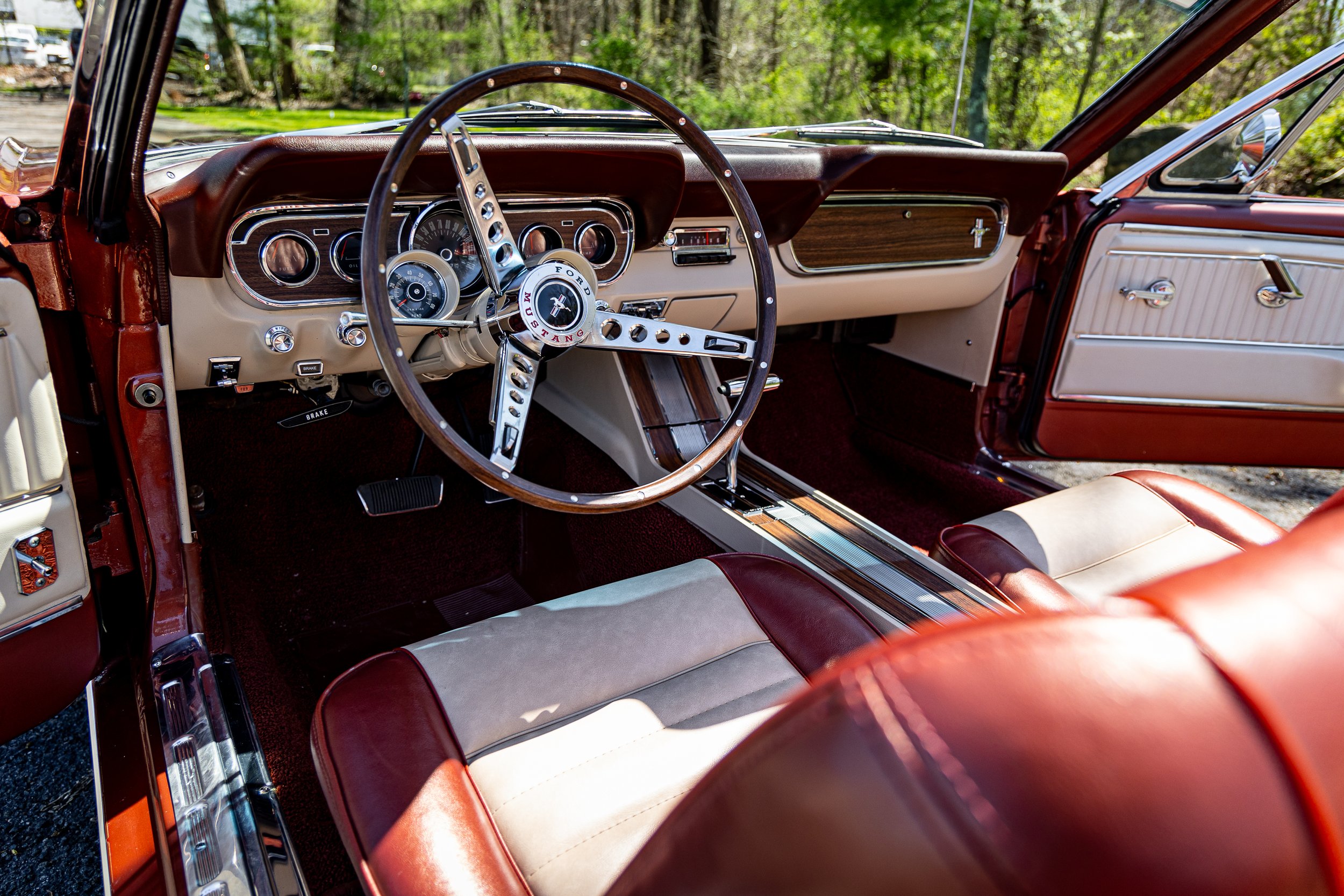 SST-24-19 - Mustang-125.jpg
