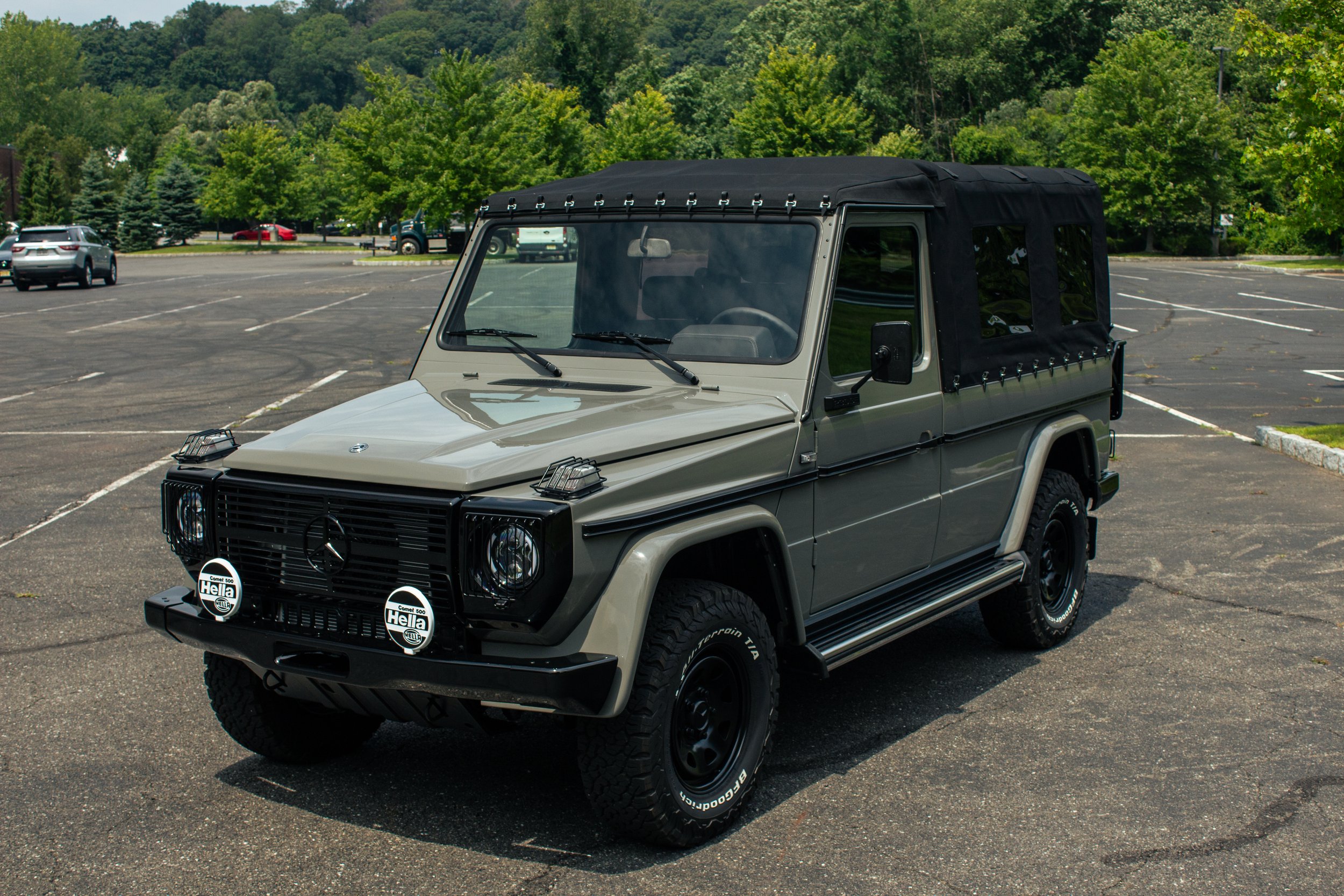Arab-Grey-04.jpg