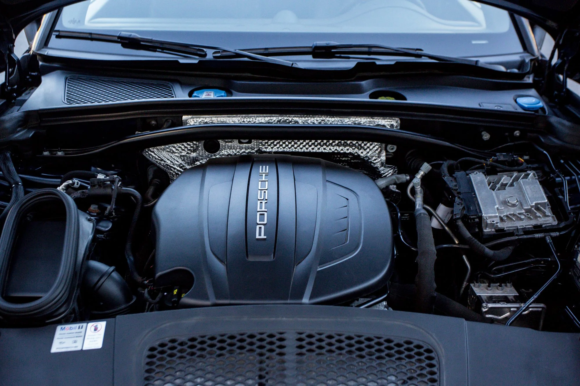 Macan (181).jpg (Copy) (Copy)