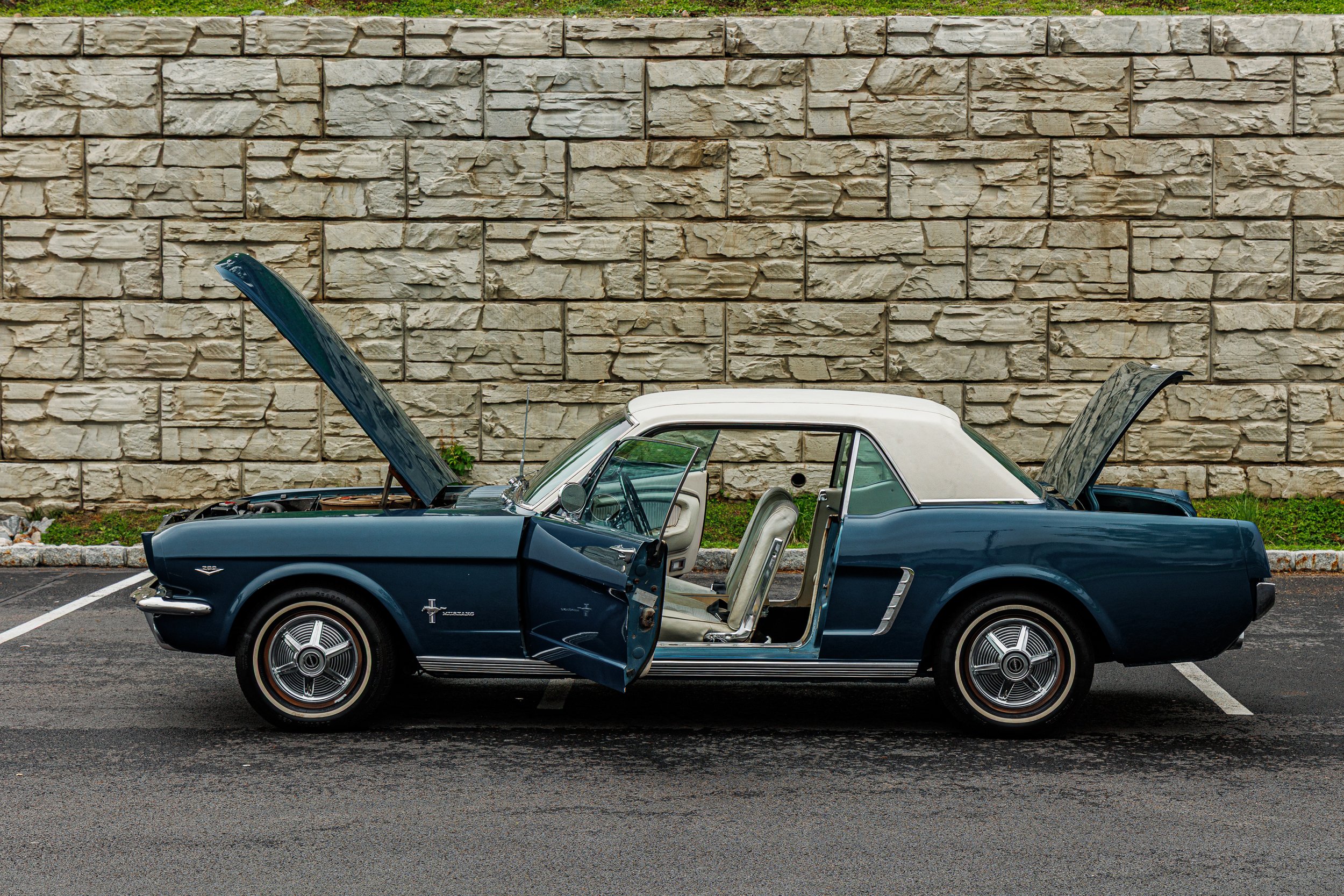 Mustang-028.jpg