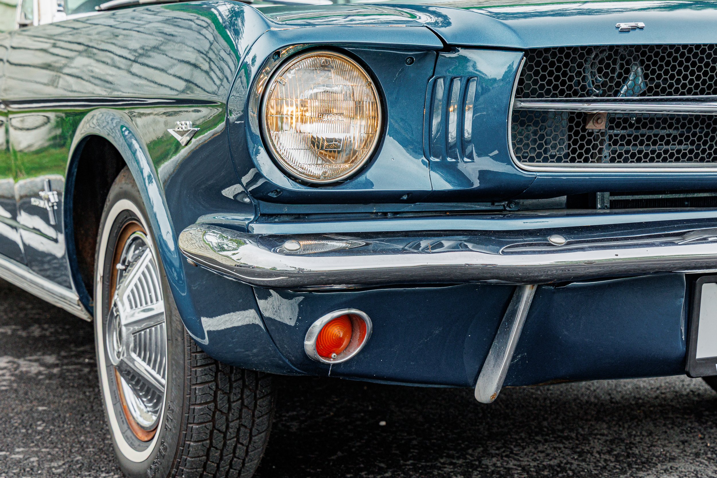Mustang-066.jpg