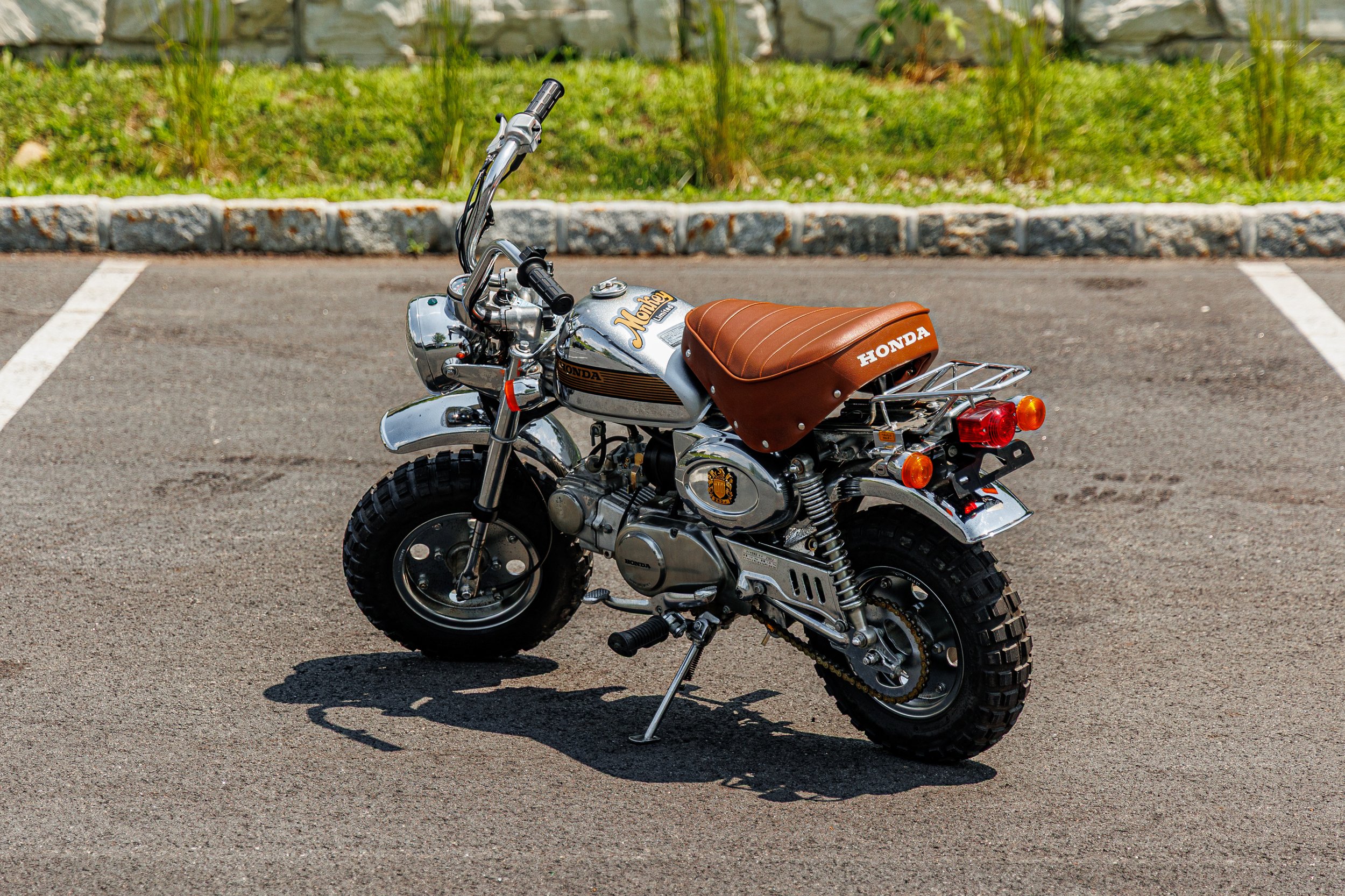 Monkey-11.jpg