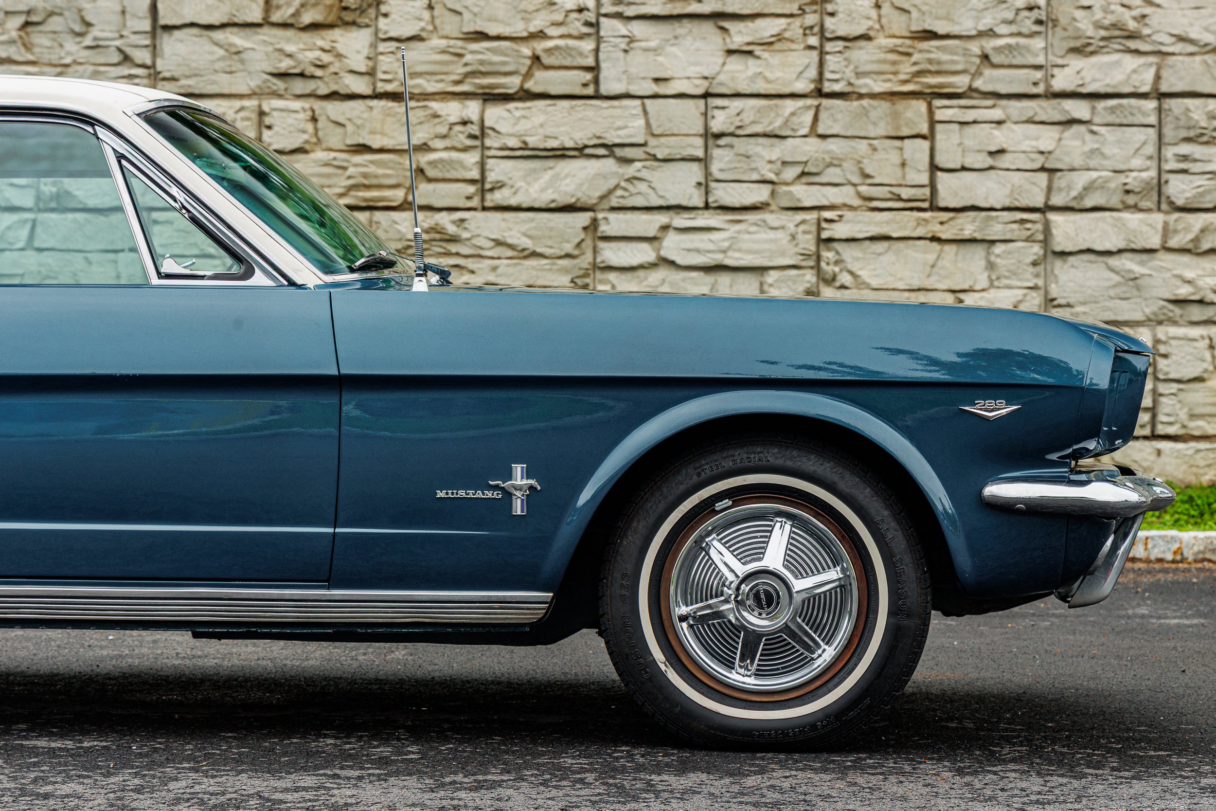Mustang-025.jpg