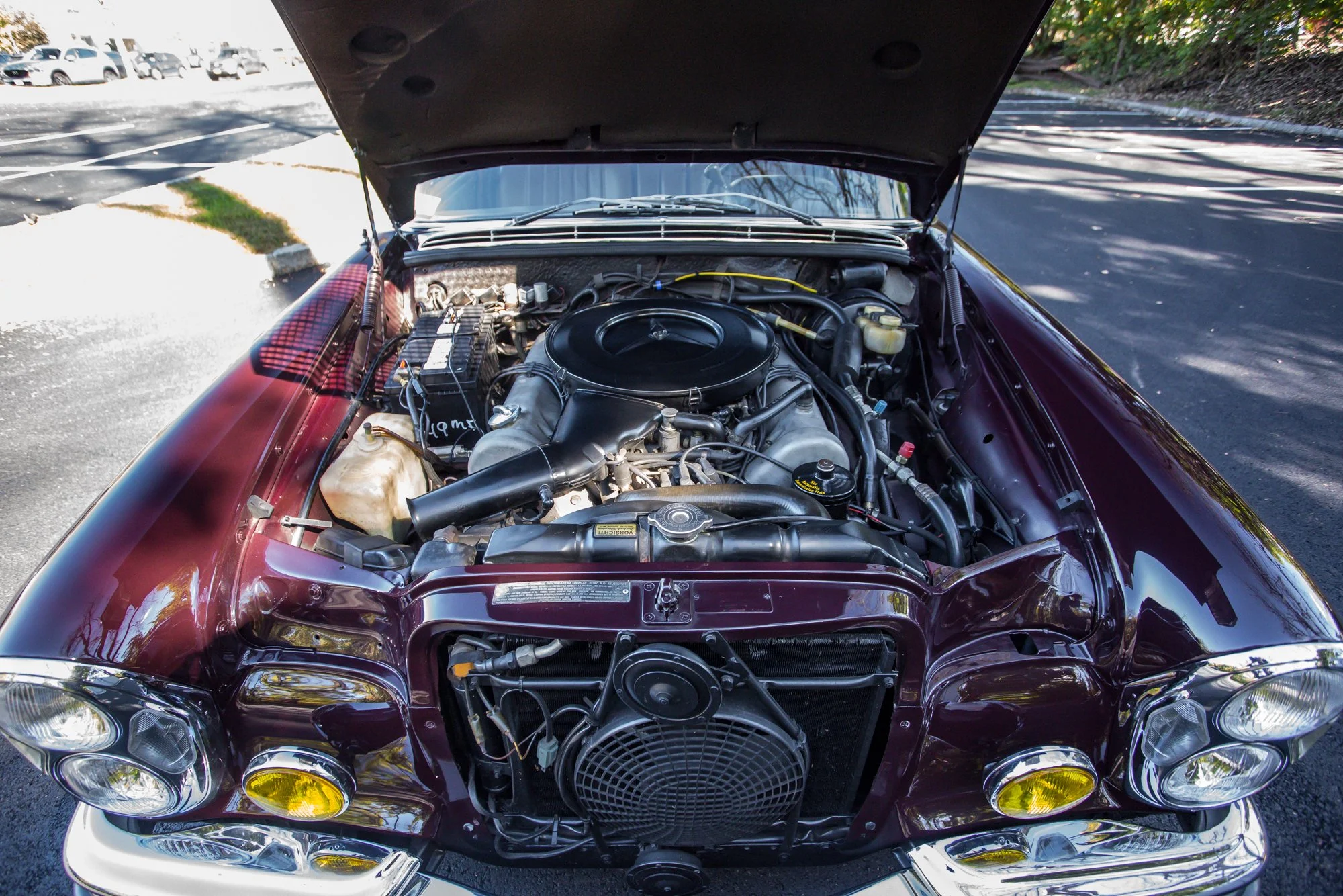 Merc (155).jpg (Copy)