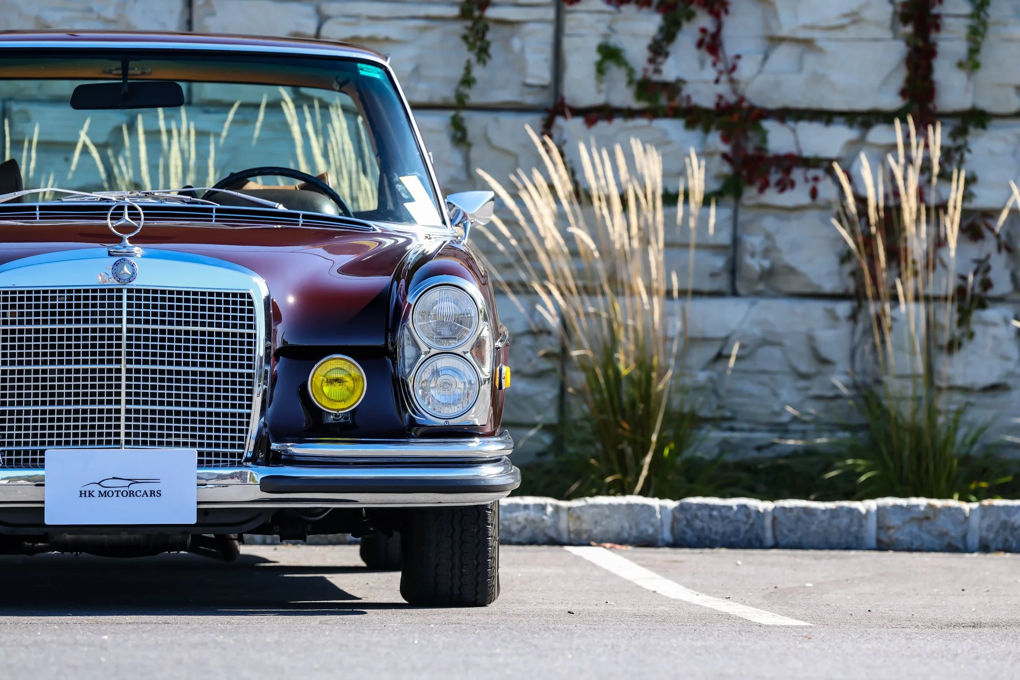 Merc (24).jpg (Copy)