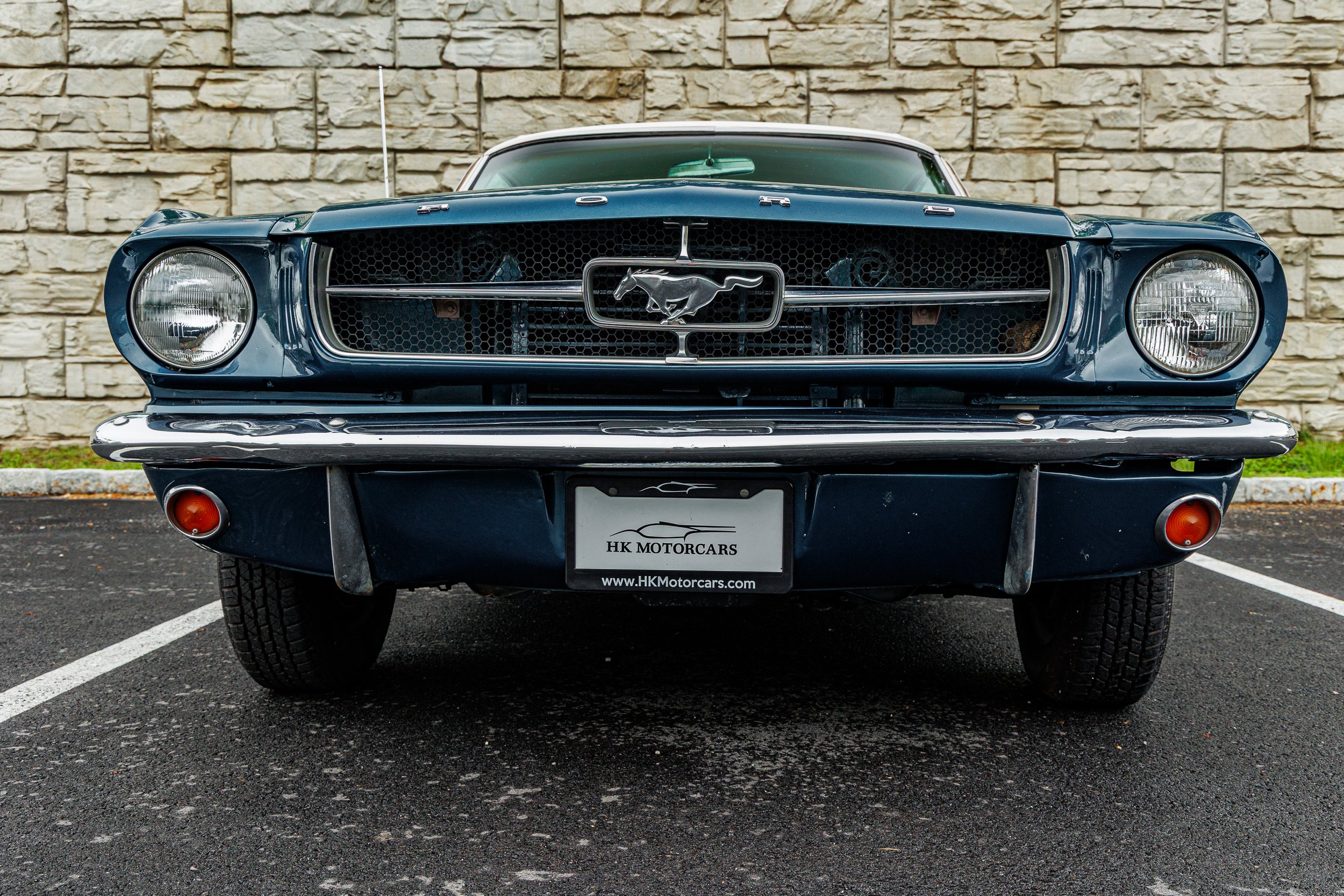 Mustang-076.jpg