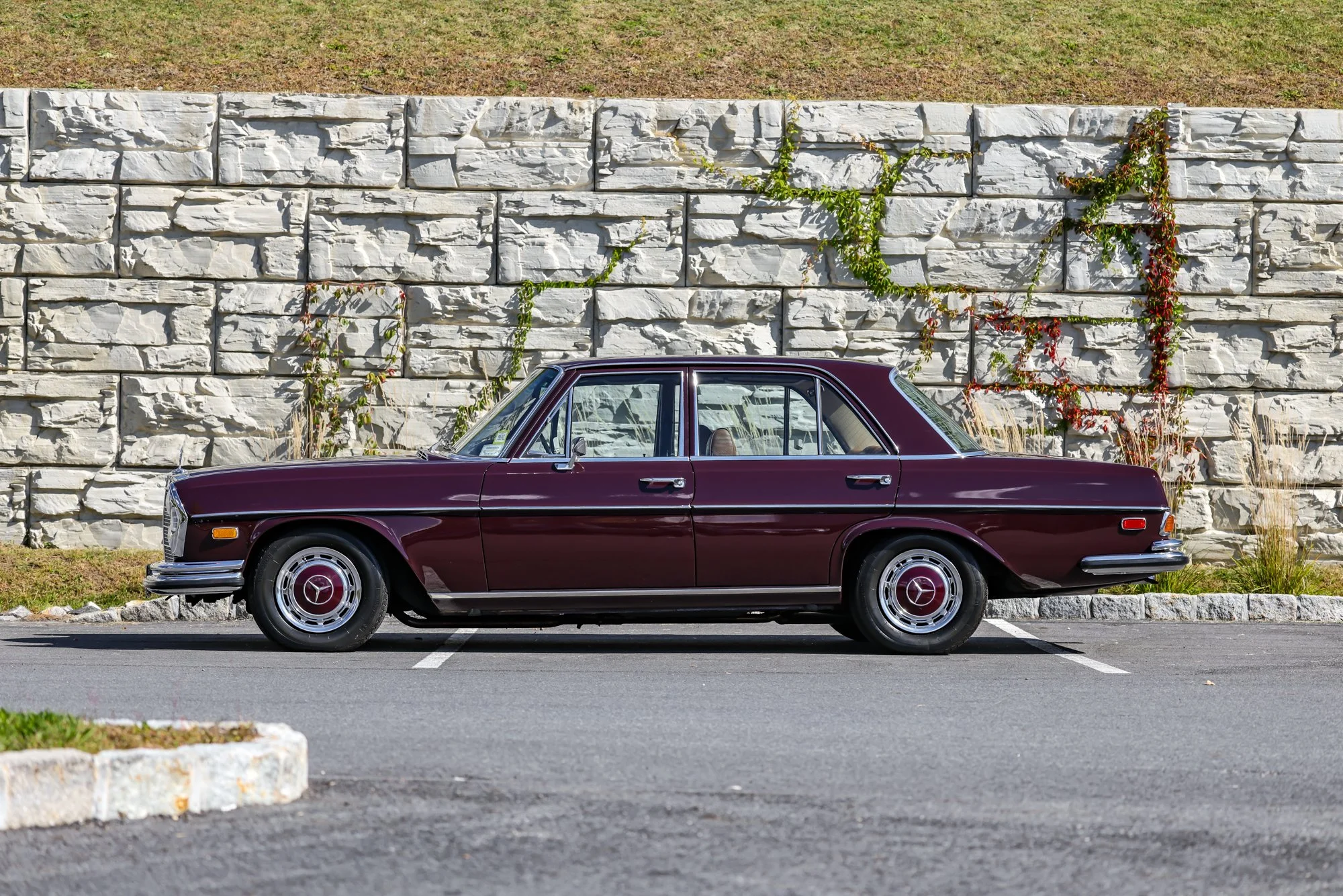 Merc (13).jpg (Copy)