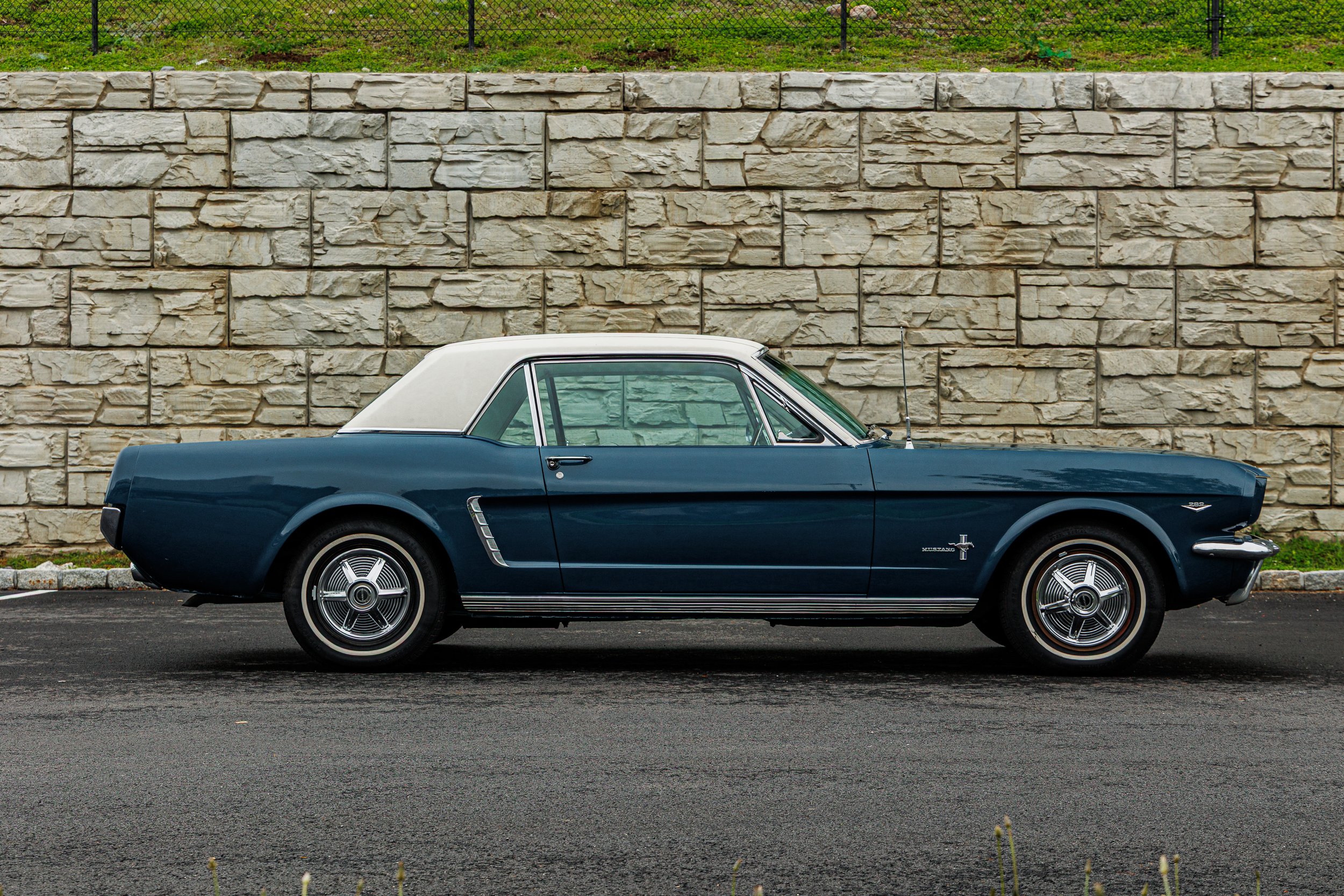 Mustang-005.jpg