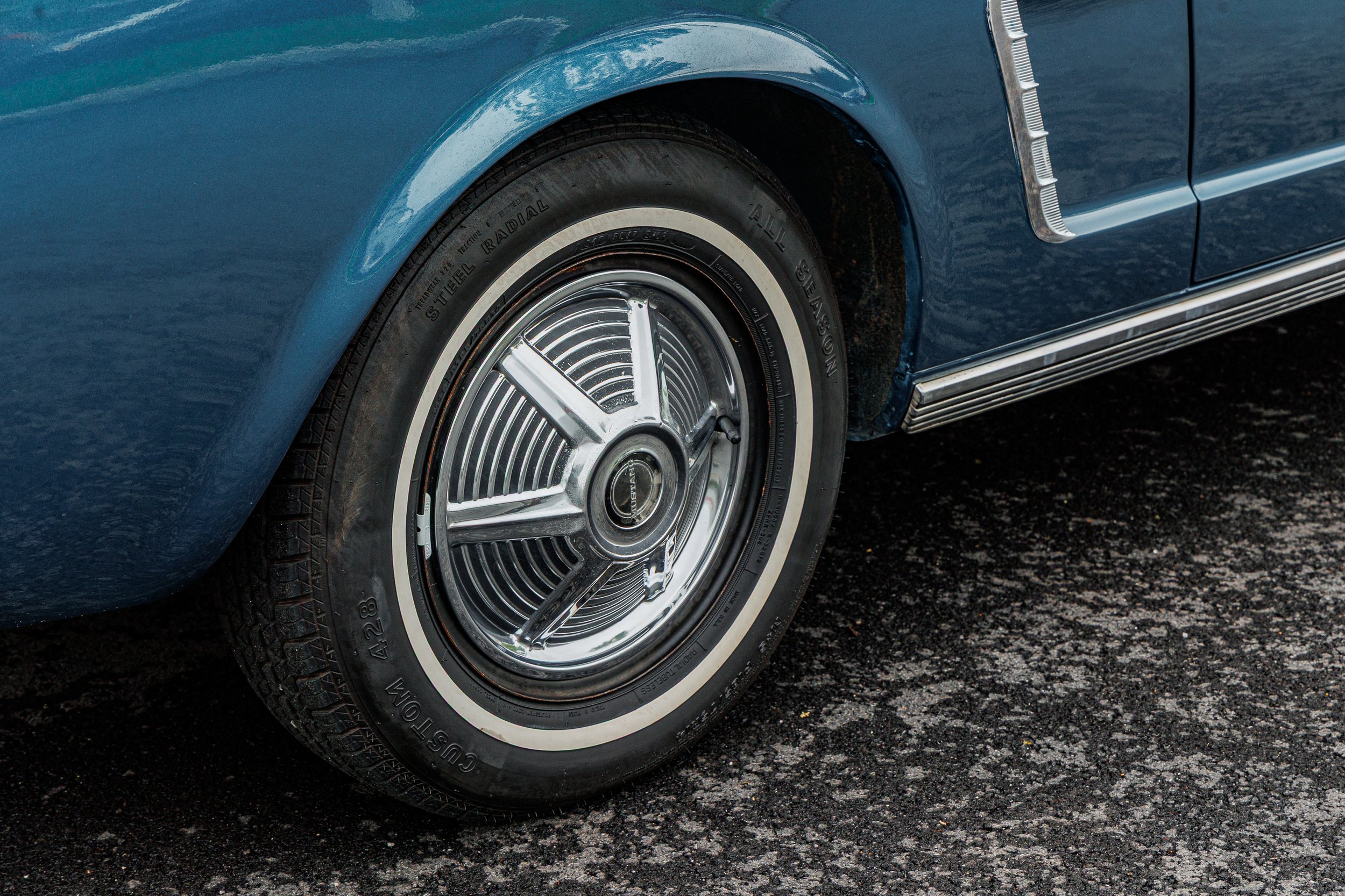 Mustang-033.jpg