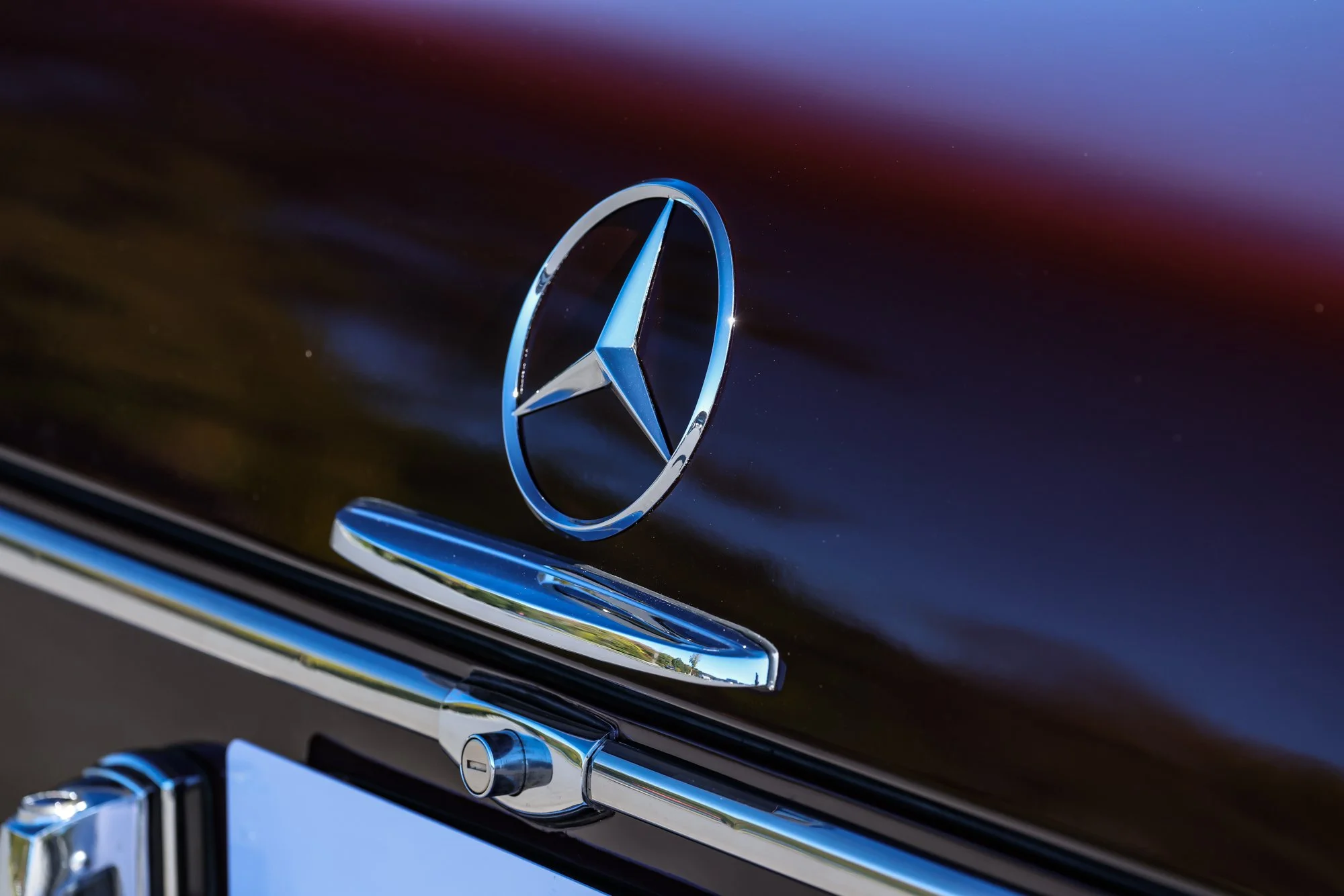 Merc (72).jpg (Copy)