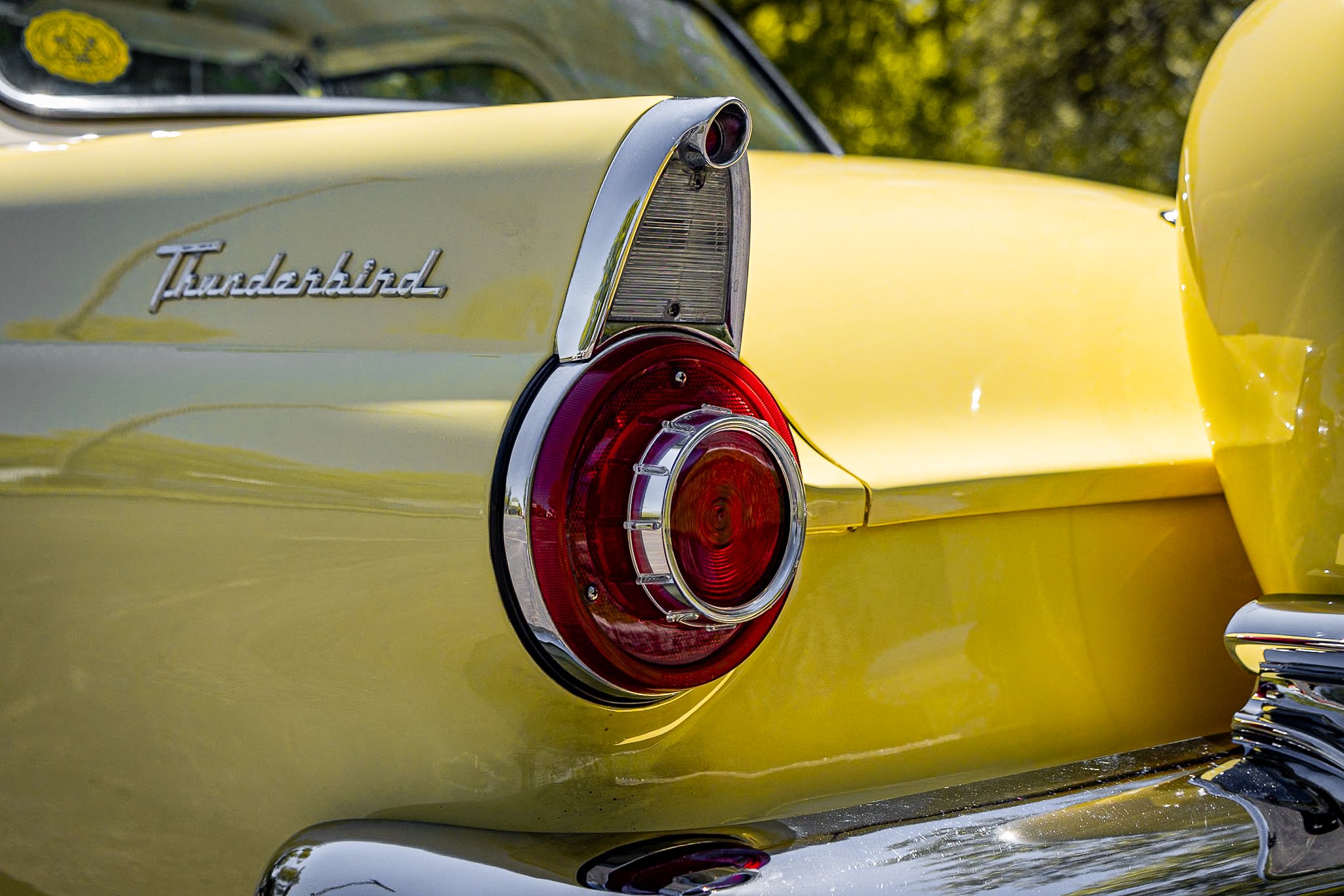 SST-24-24-149.jpg