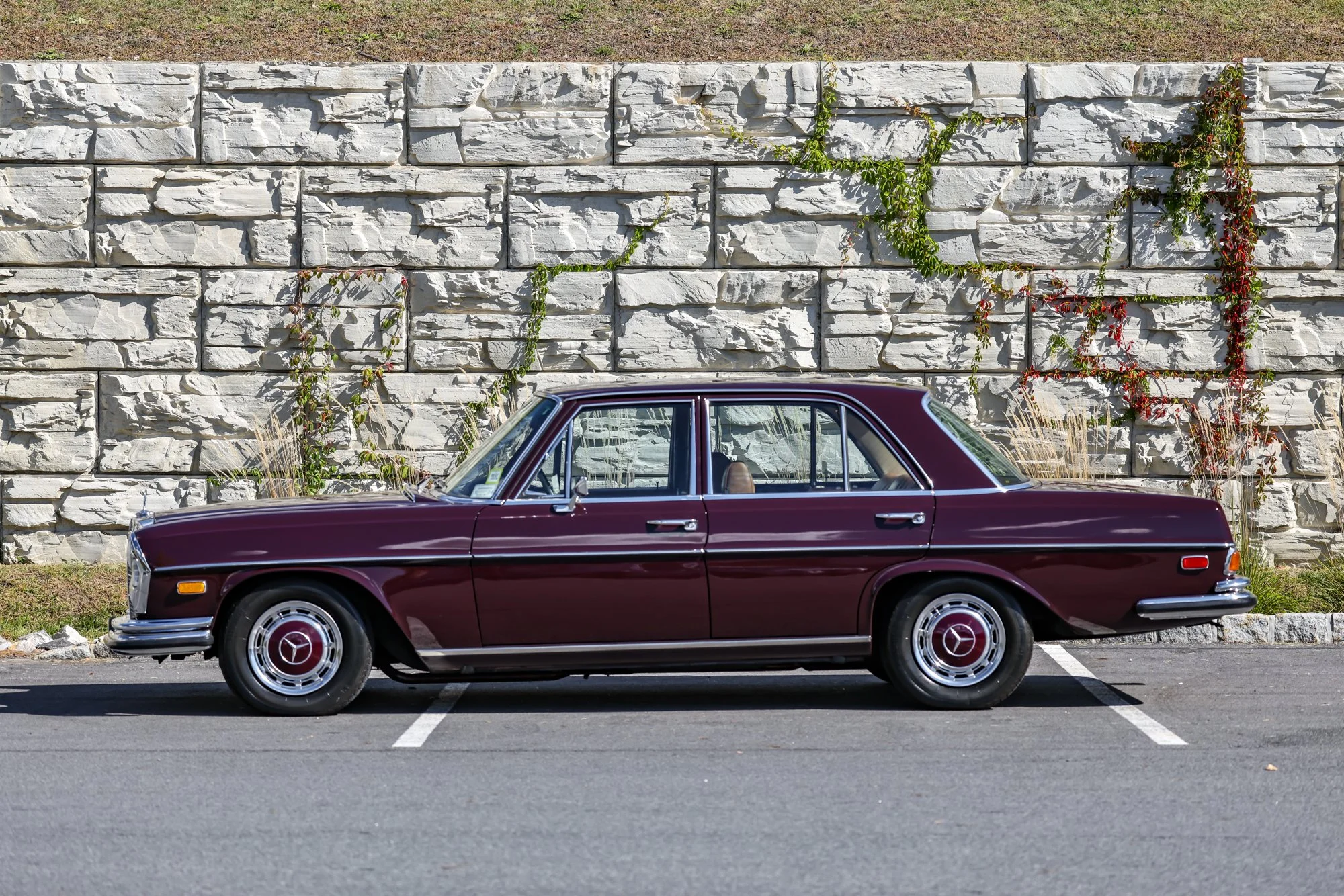 Merc (14).jpg (Copy)