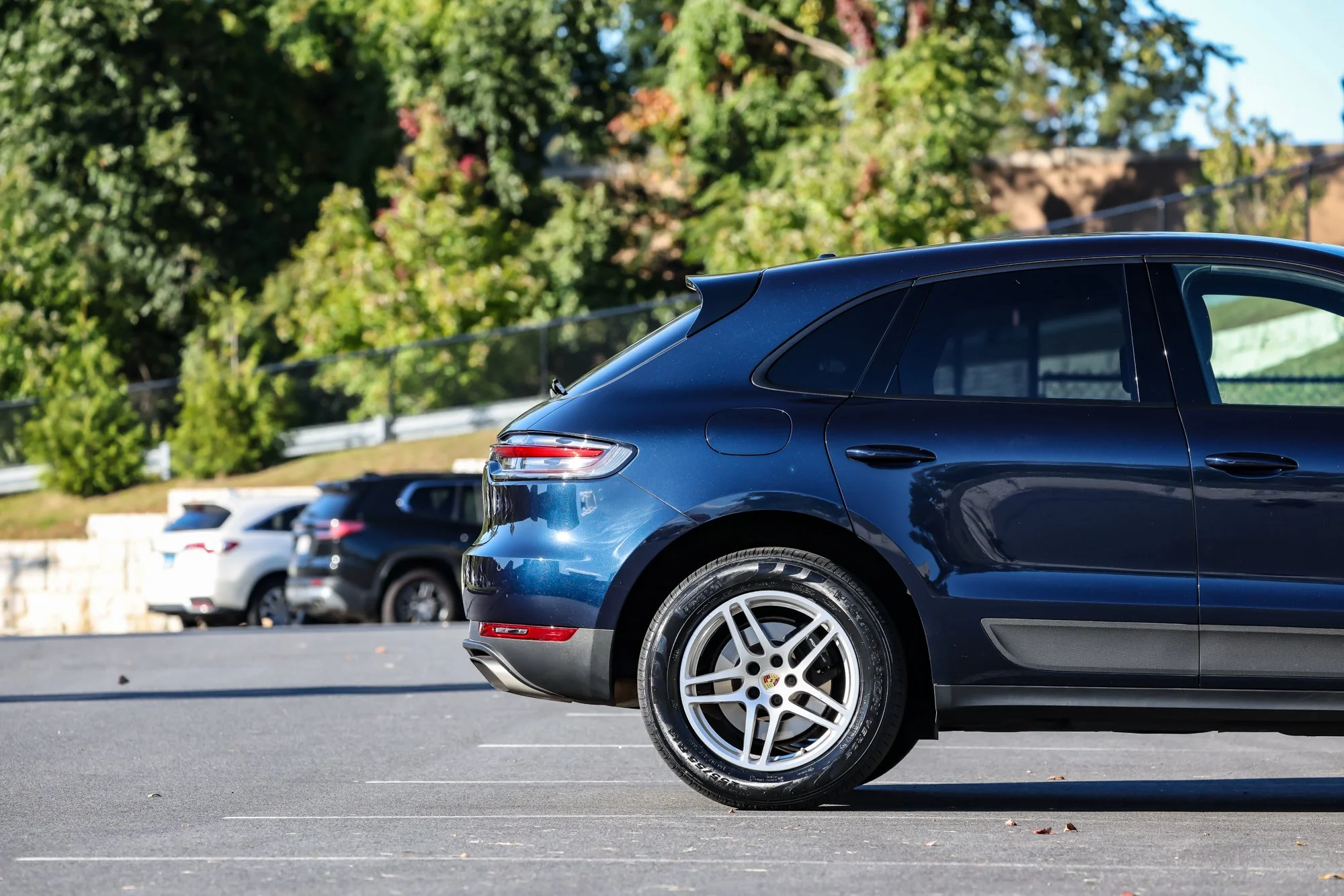 Macan (73).jpg (Copy) (Copy)