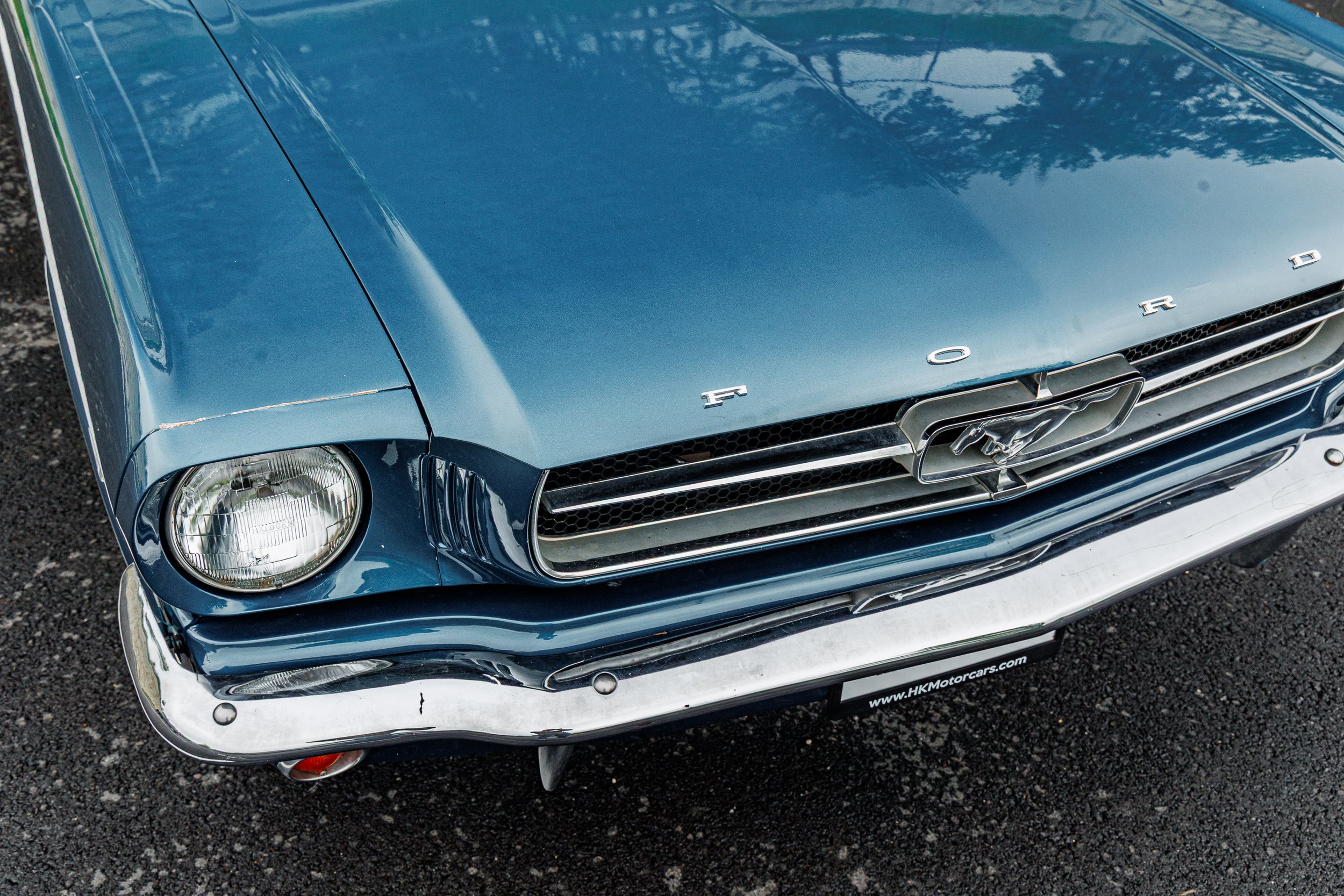 Mustang-072.jpg