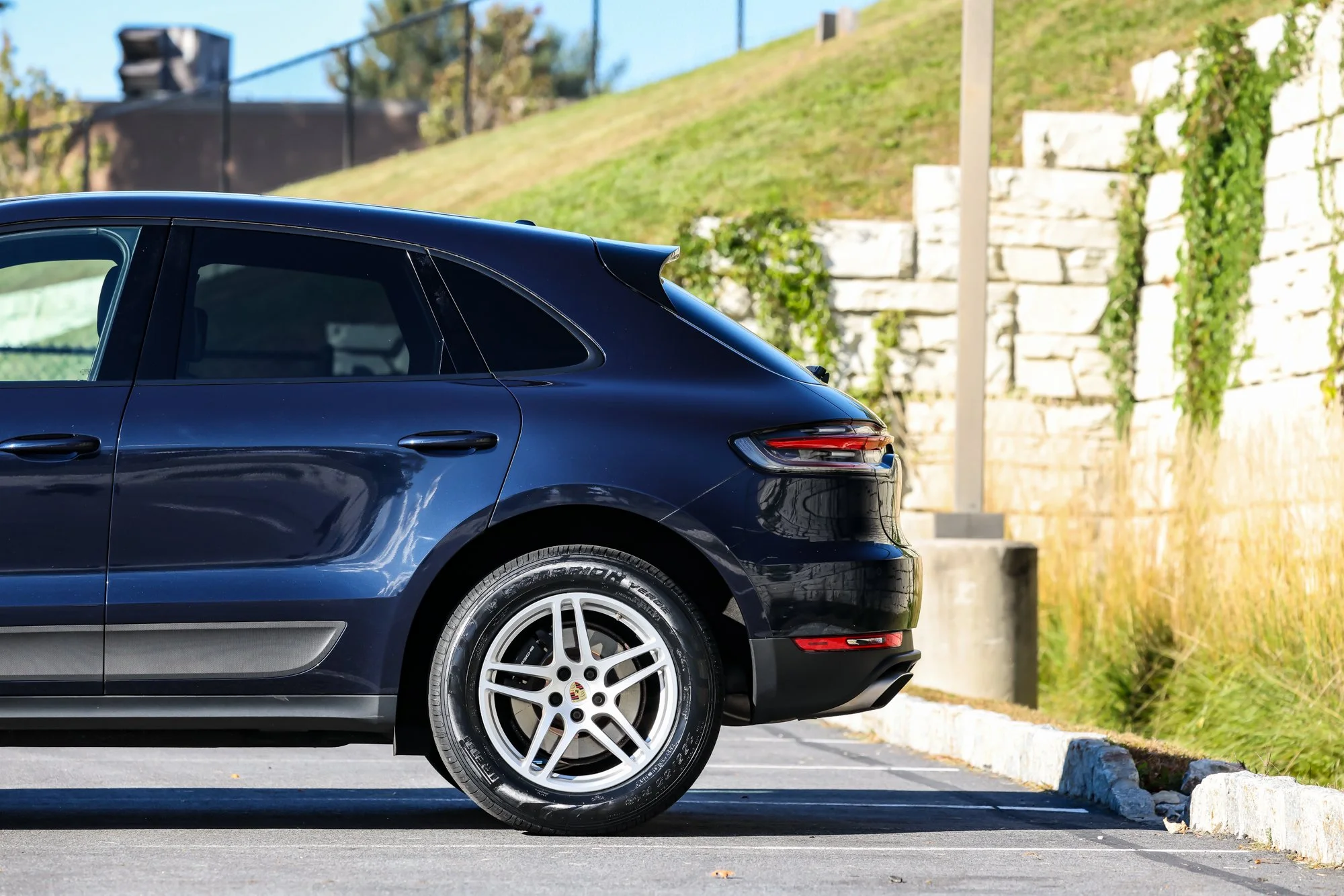 Macan (72).jpg (Copy) (Copy)