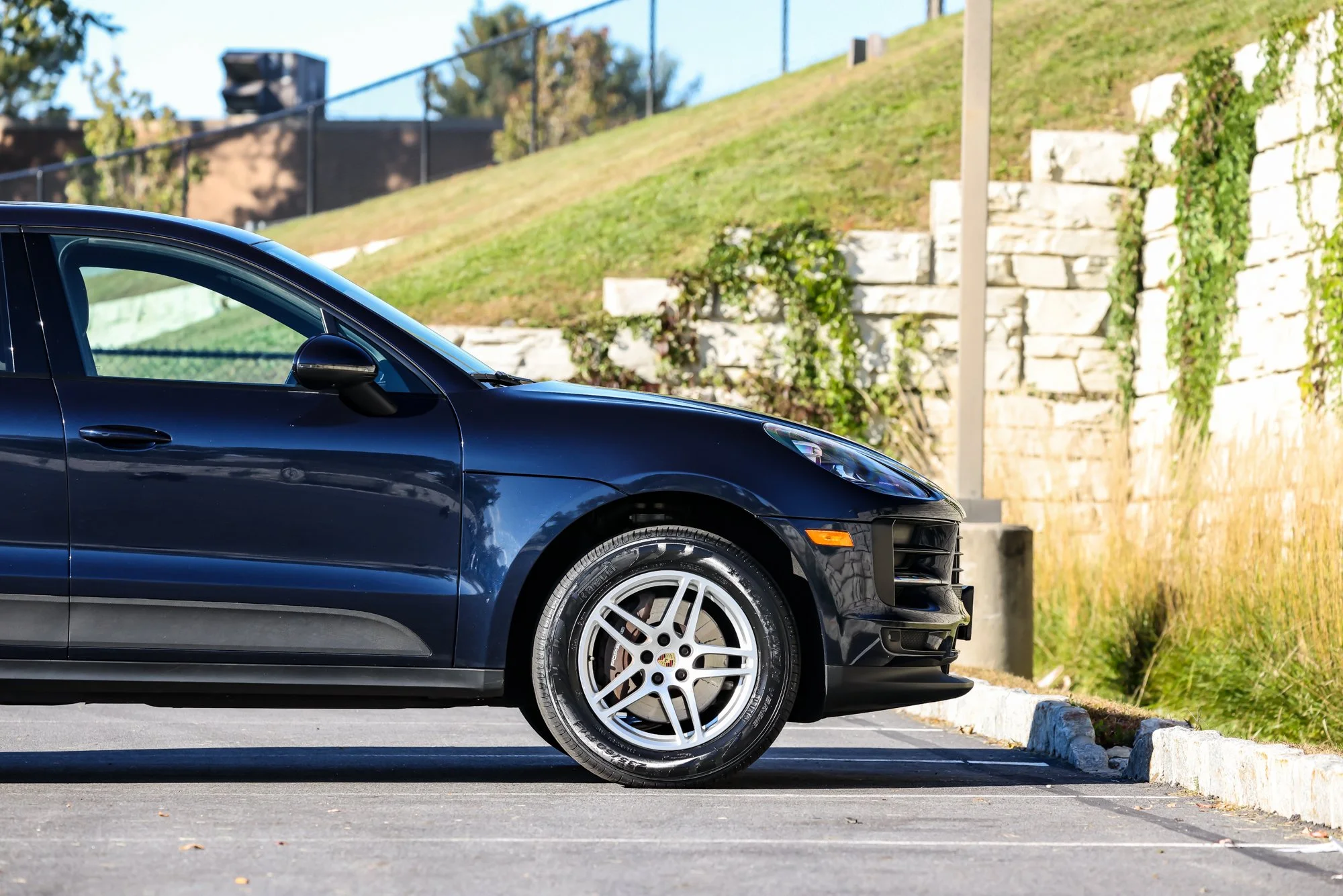 Macan (74).jpg (Copy) (Copy)