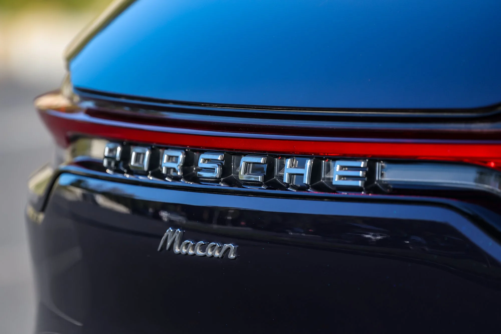 Macan (55).jpg (Copy) (Copy)