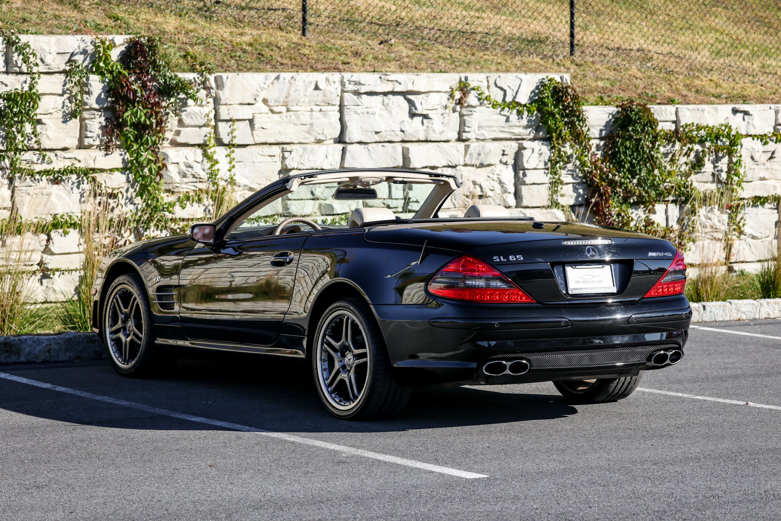 SL65 (11).jpg (Copy)