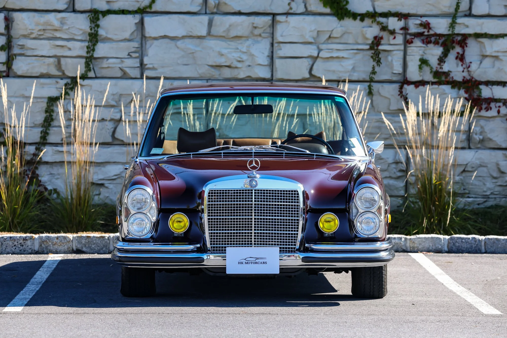 Merc (21).jpg (Copy)