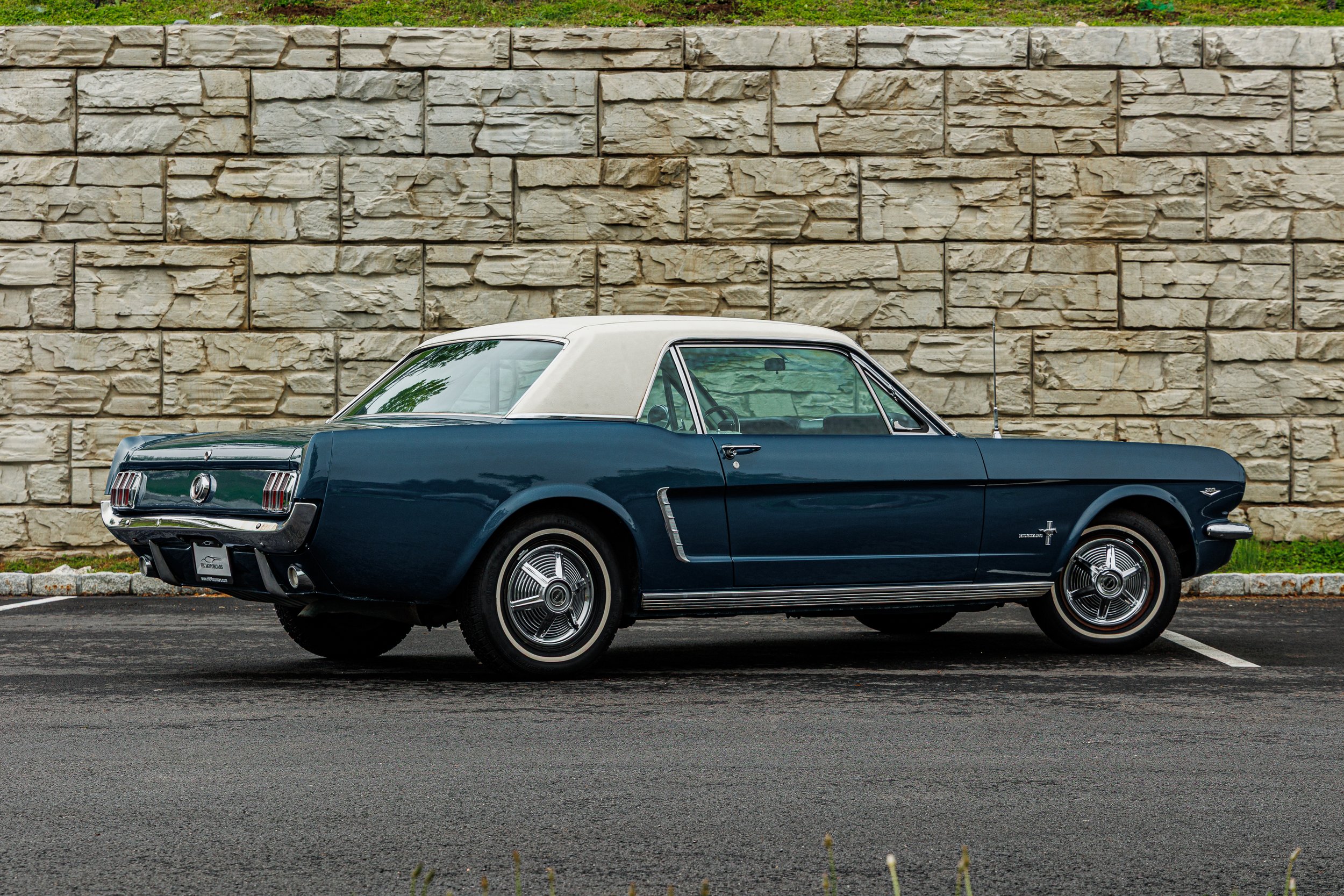 Mustang-007.jpg